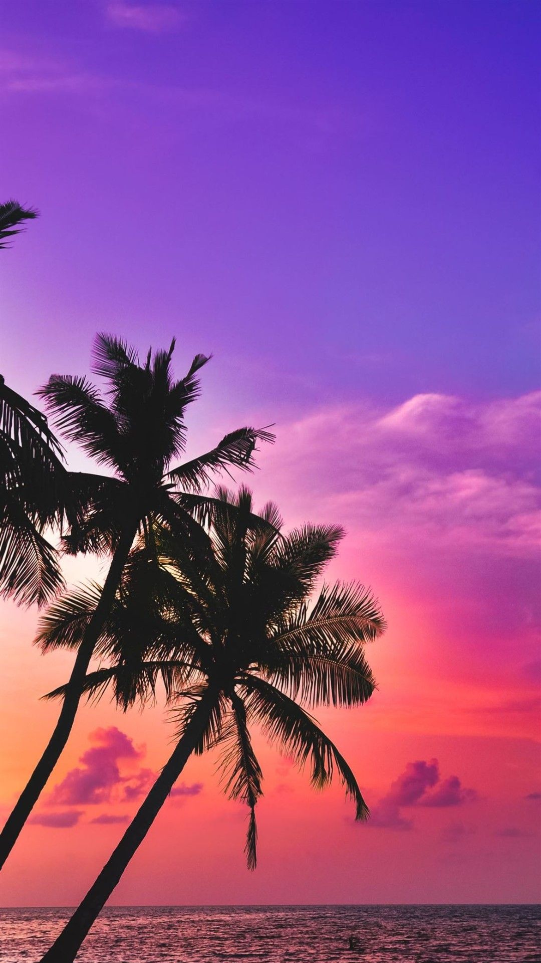 IPhone wallpaper of palm trees in front of a sunset - Summer, beach