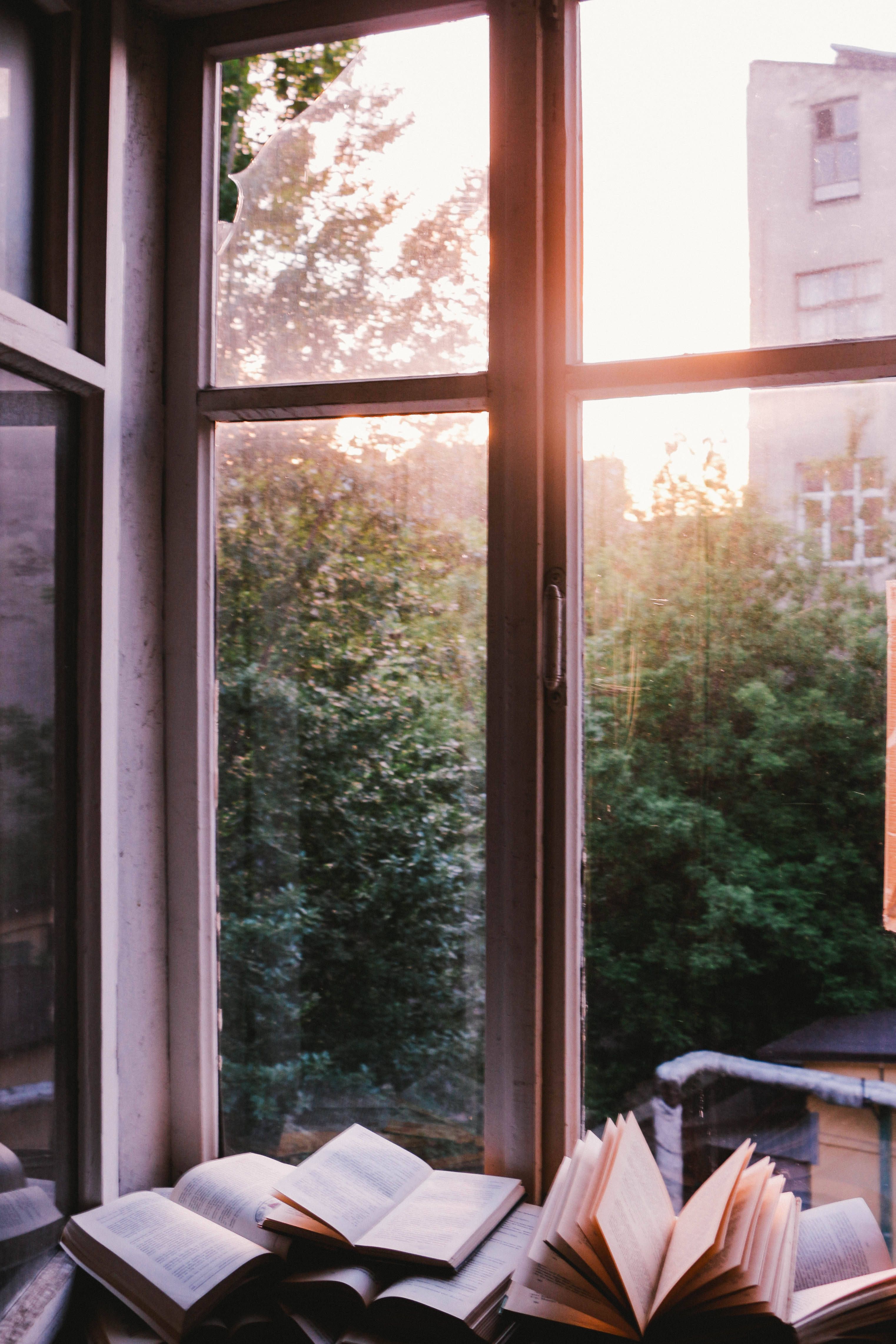 A window with open books in front of it. - Books