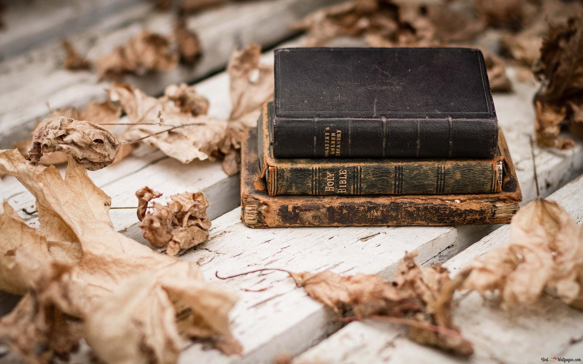 Autumn leaves and very old books 2K wallpaper download