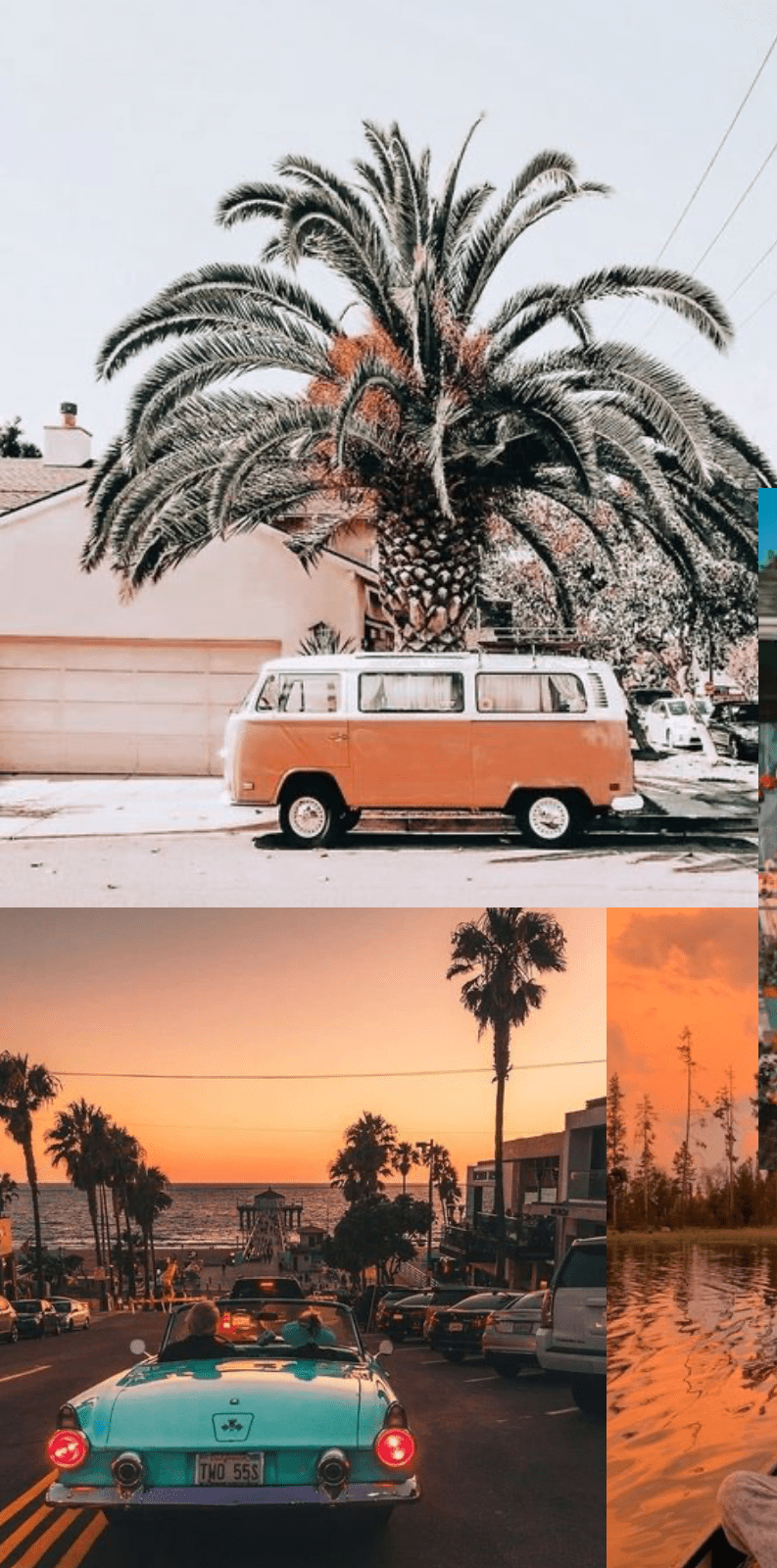 A collage of pictures with different colors - Summer