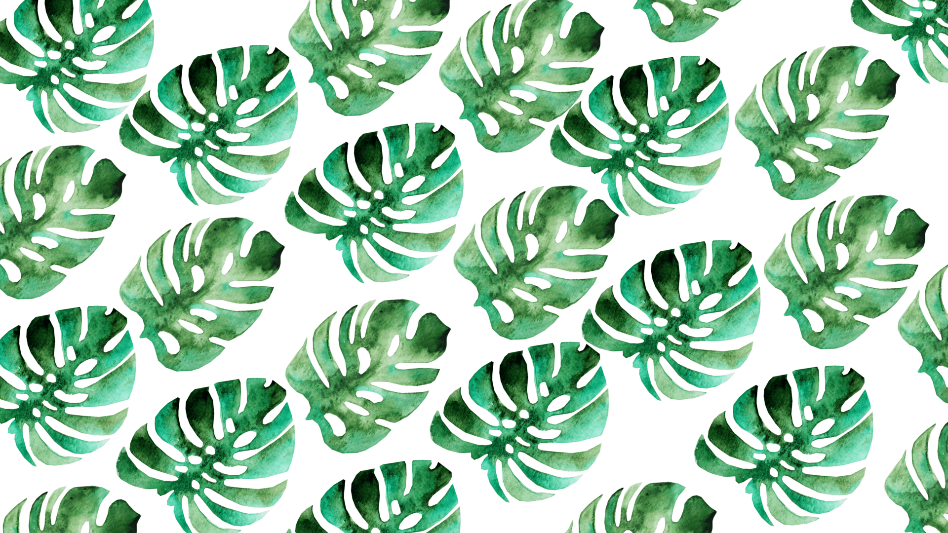A pattern of green leaves on white background - Summer