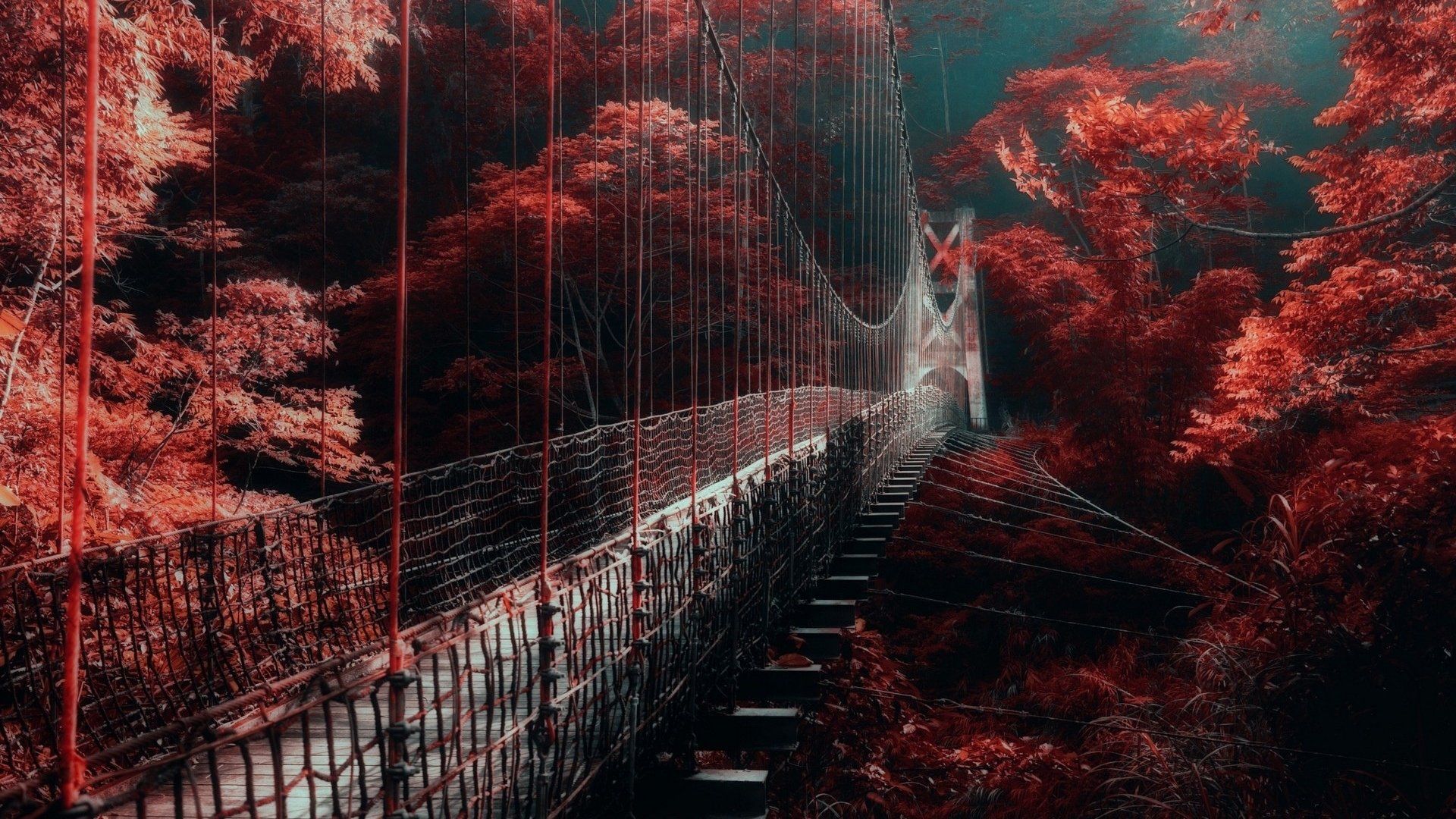 Bridge Between Red Autumn Trees HD Dark Aesthetic Wallpaper