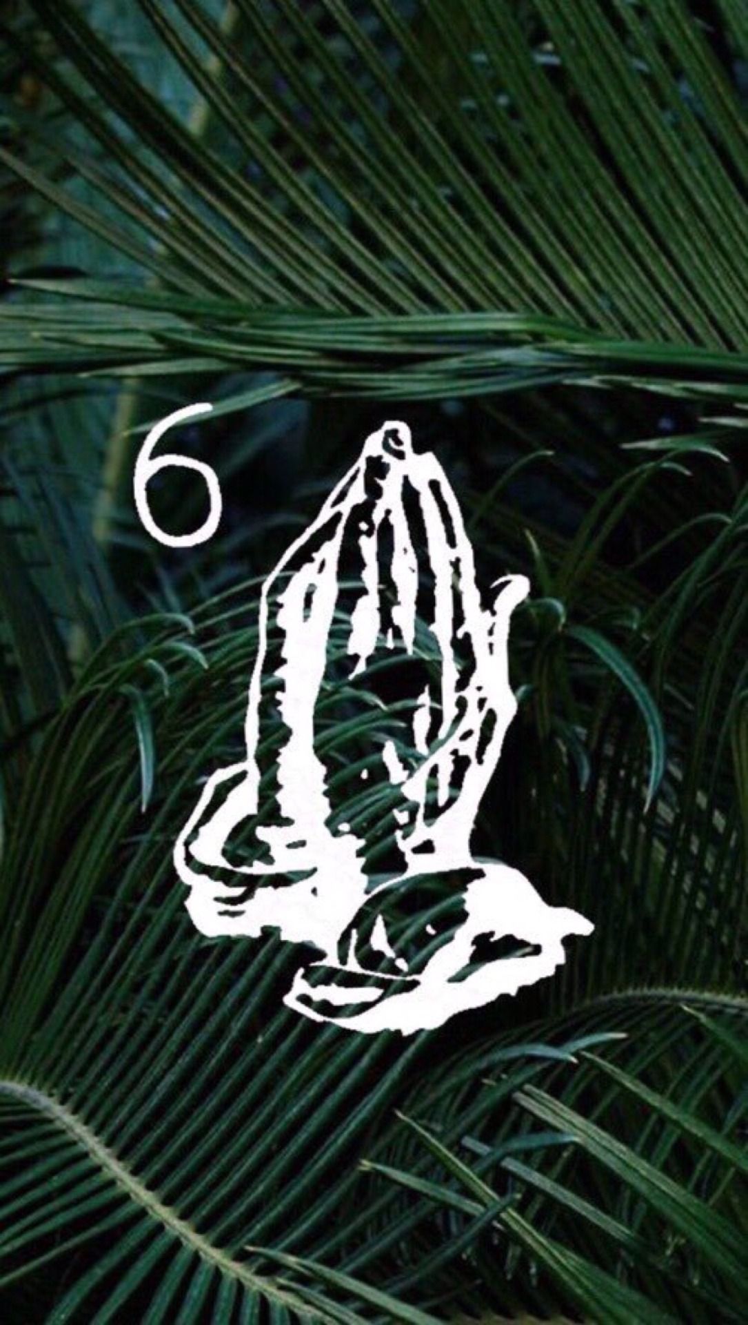 A hand is shown in front of some palm leaves - Drake