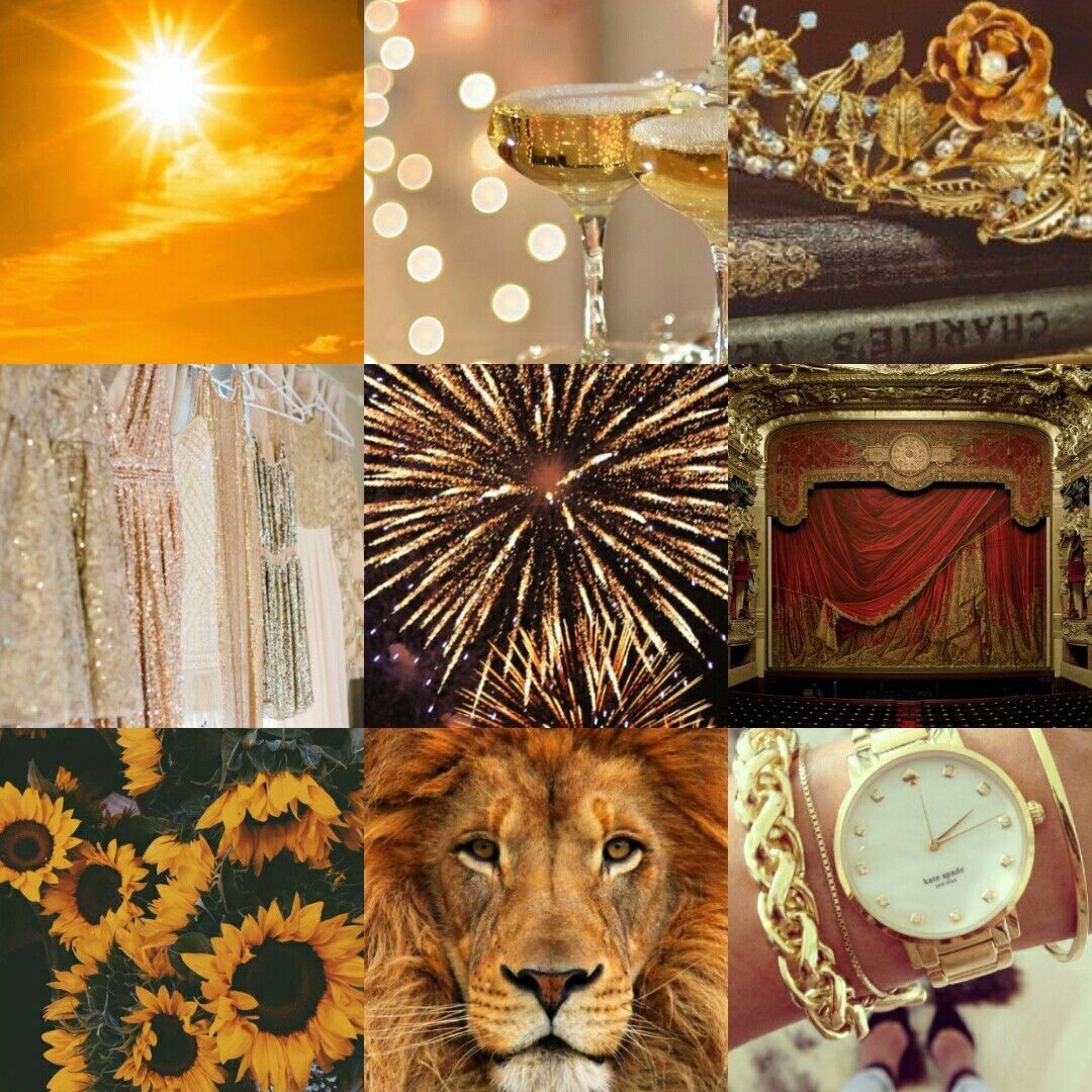 A collage of pictures with different things in them - Leo