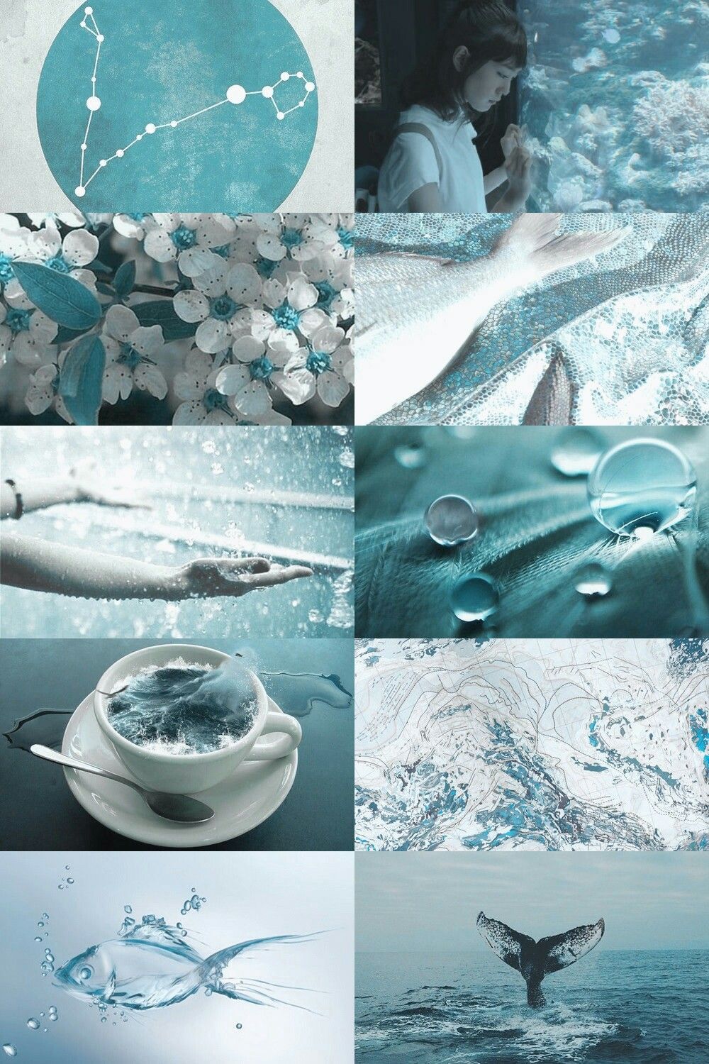 Aesthetic collage of blue and white images, including a whale's tail, a cup of coffee, and a girl reading a book. - Magic