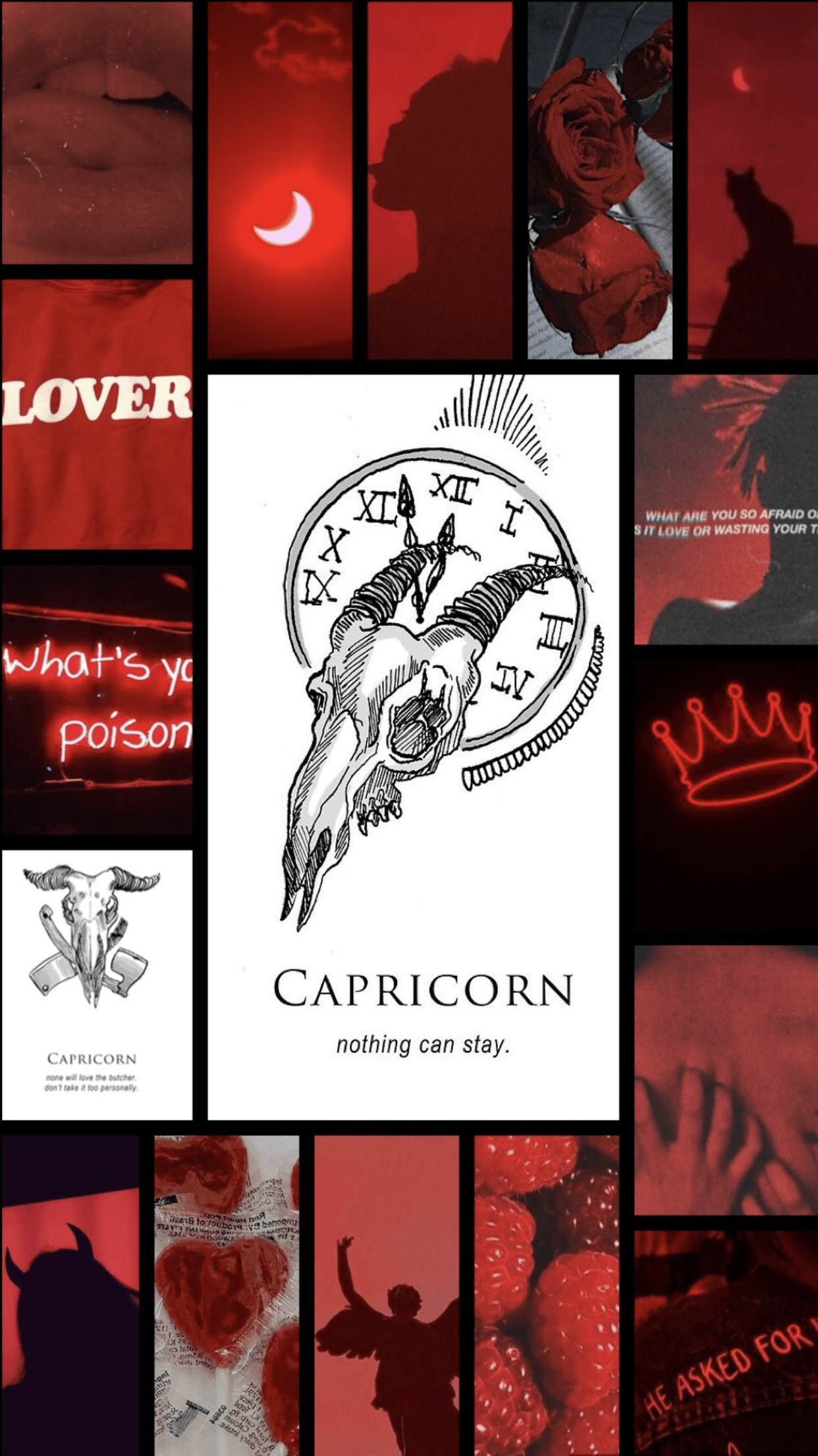 Capricorn aesthetics wallpaper. Capricorn aesthetic, Capricorn art, Zodiac capricorn