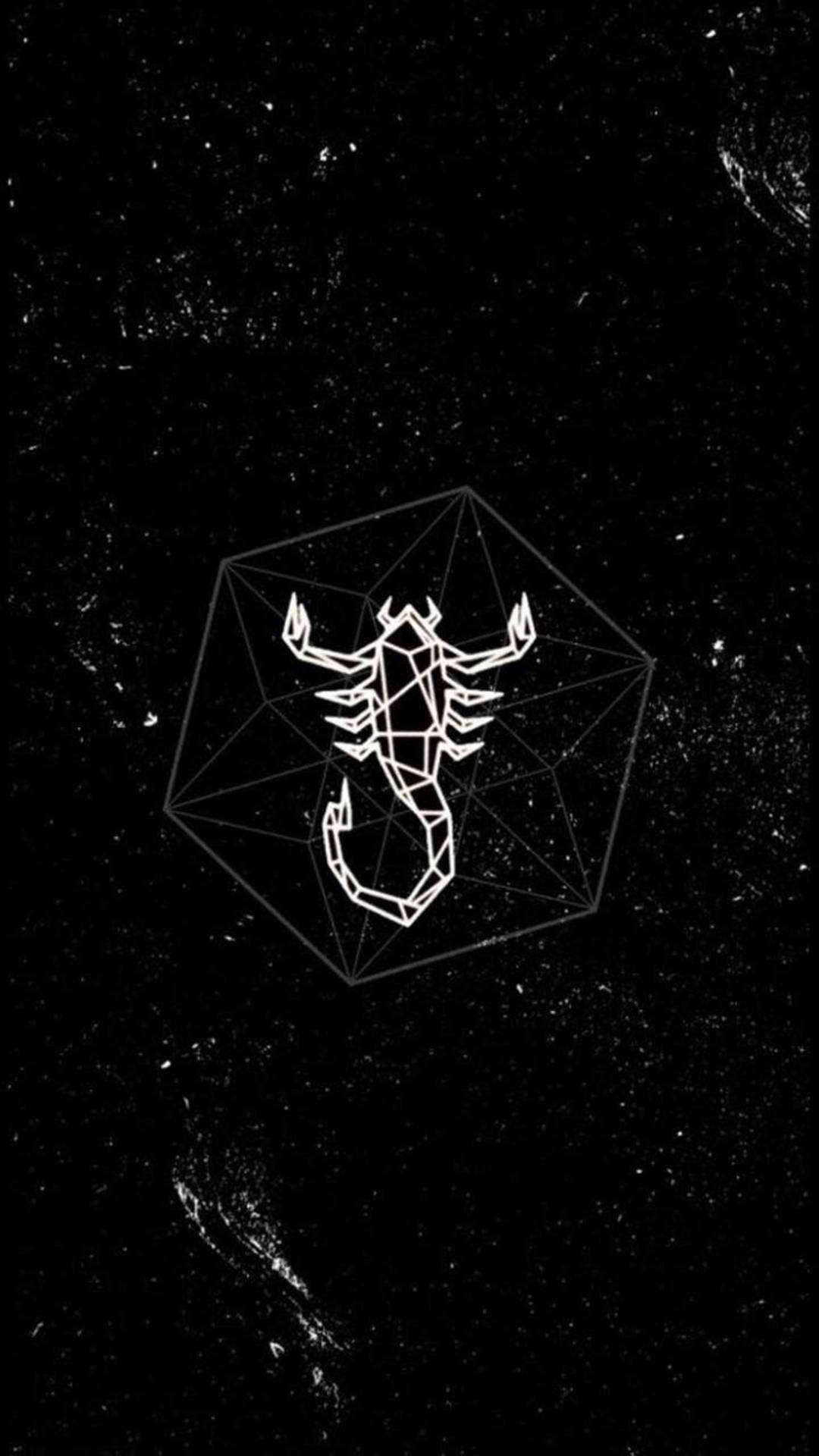 Geometric scorpion in a cube - Scorpio