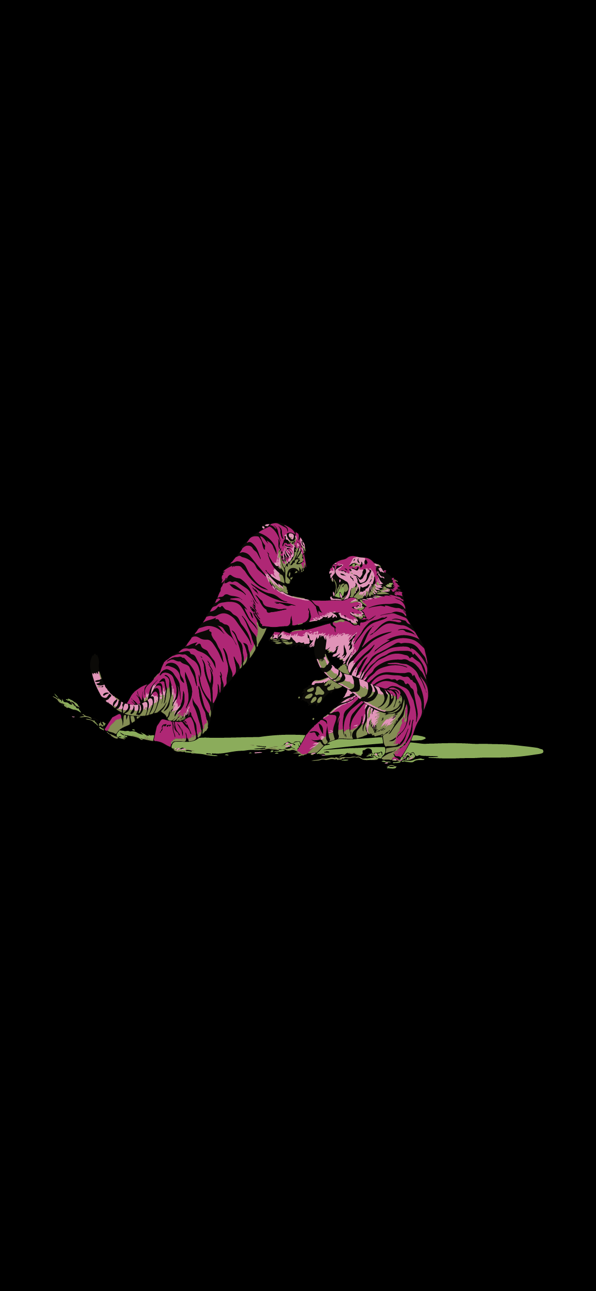 Two tigers fighting in the dark - Tiger