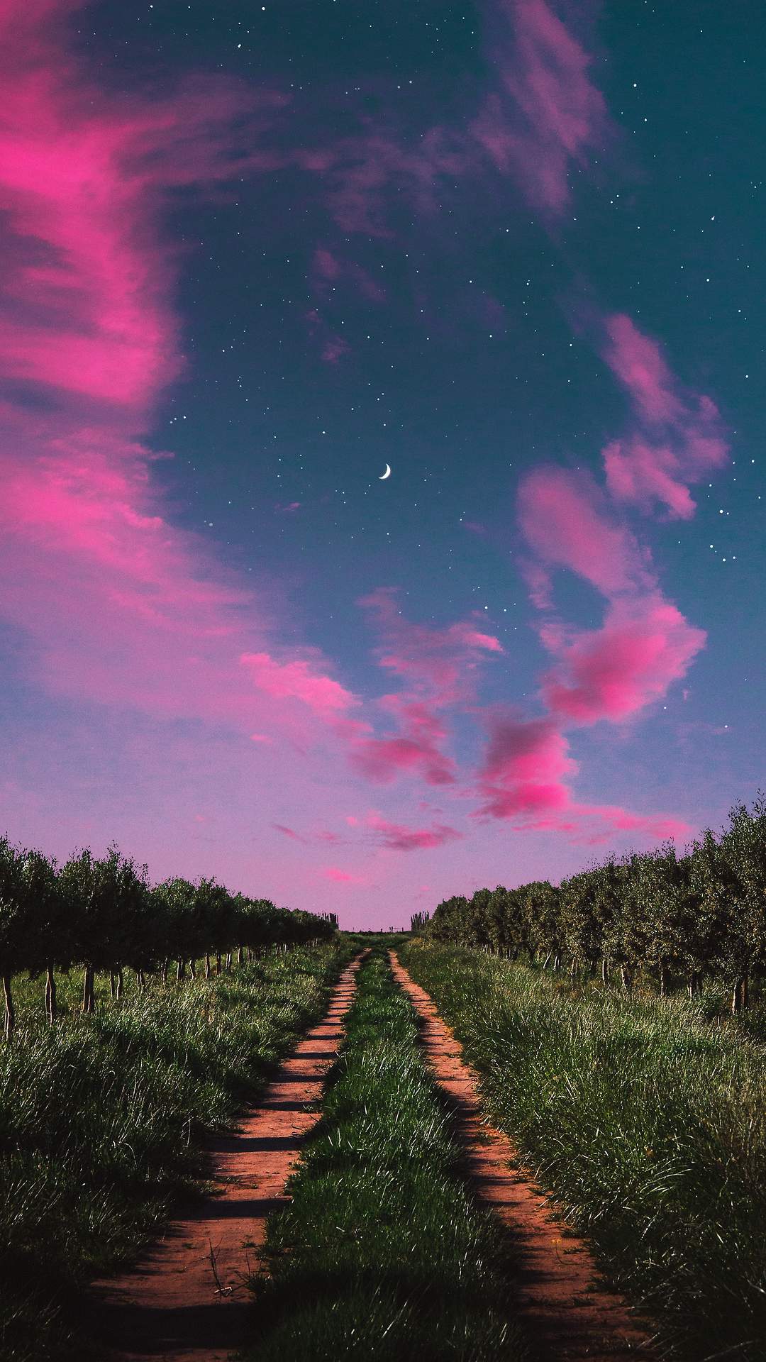 Green Nature Path Moon Starry Sky IPhone Wallpaper Wallpaper : iPhone Wallpaper