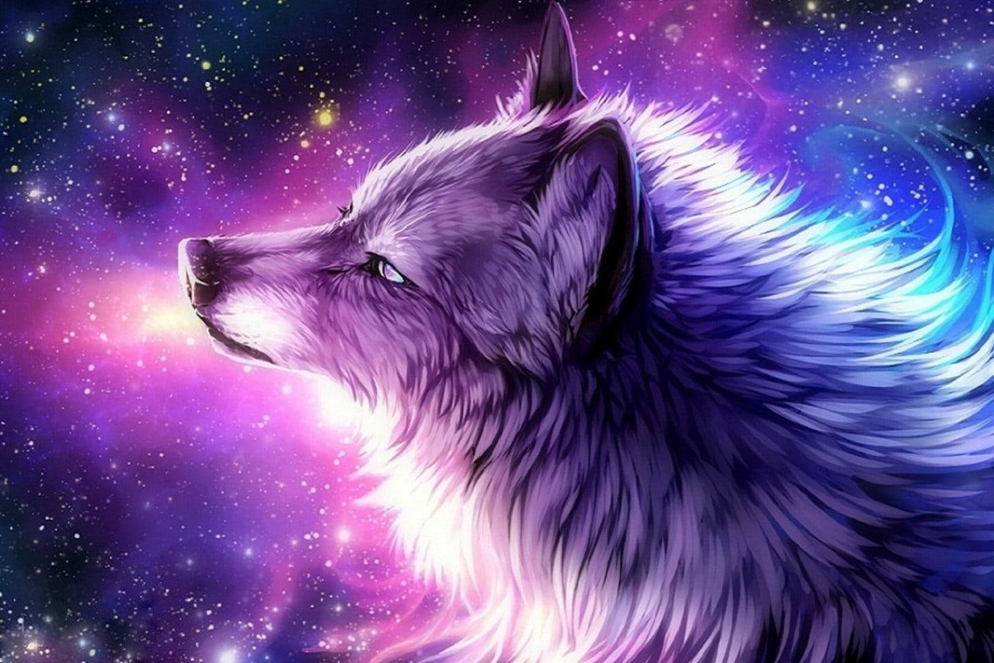 A wolf in space with stars and galaxies - Wolf
