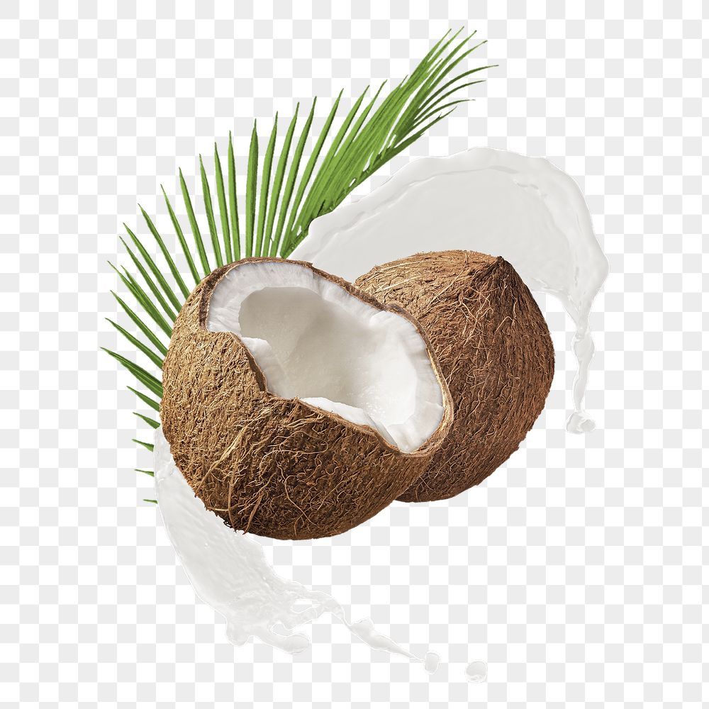 Download PNG image of coconut with its milk on transparent background - Coconut