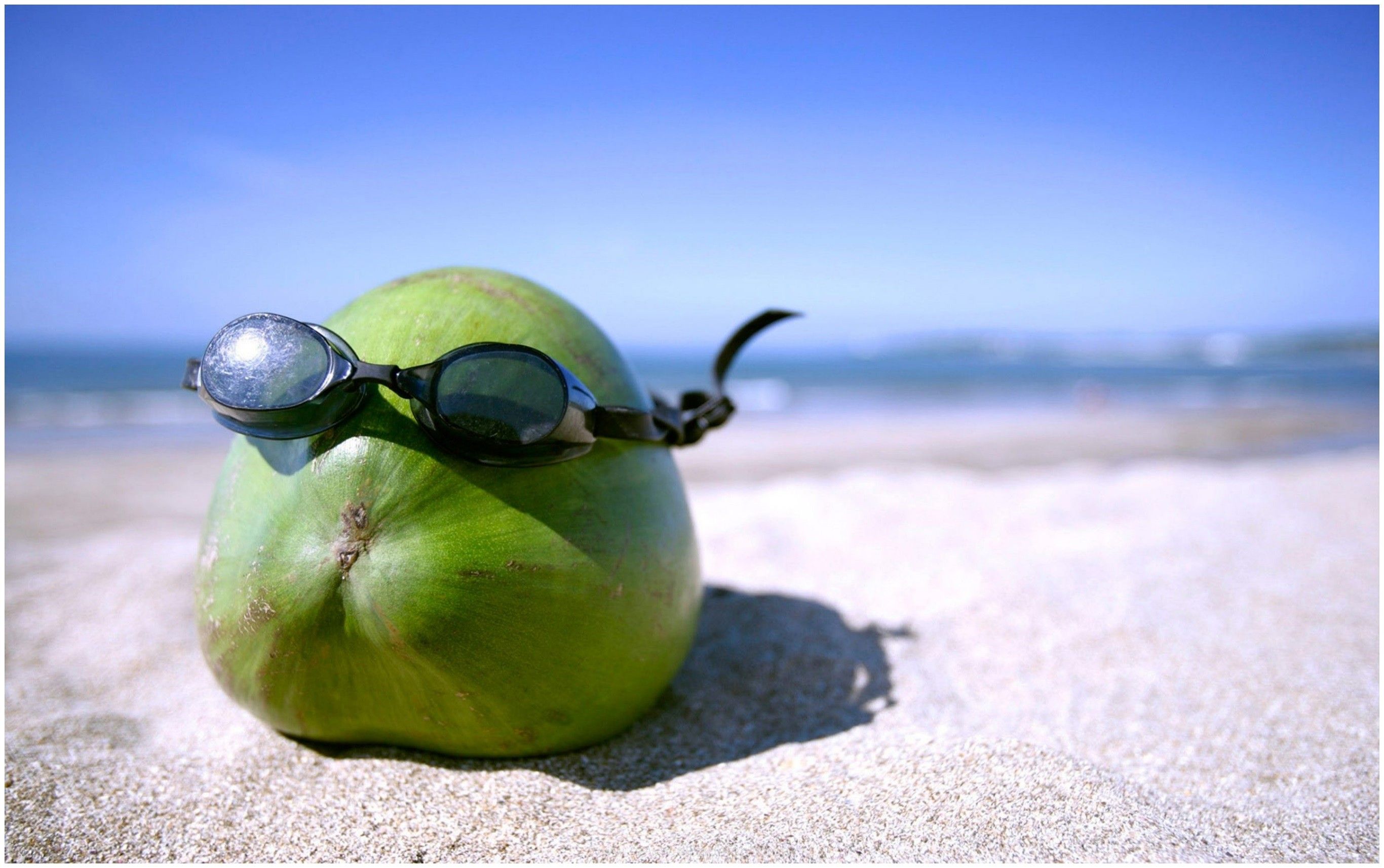 A coconut wearing sunglasses on a beach. - Coconut