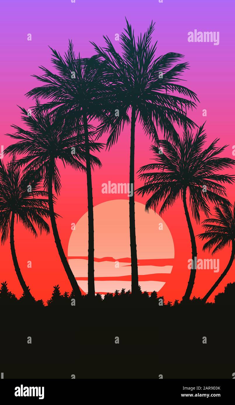 Palm trees silhouette at sunset - stock image - Coconut