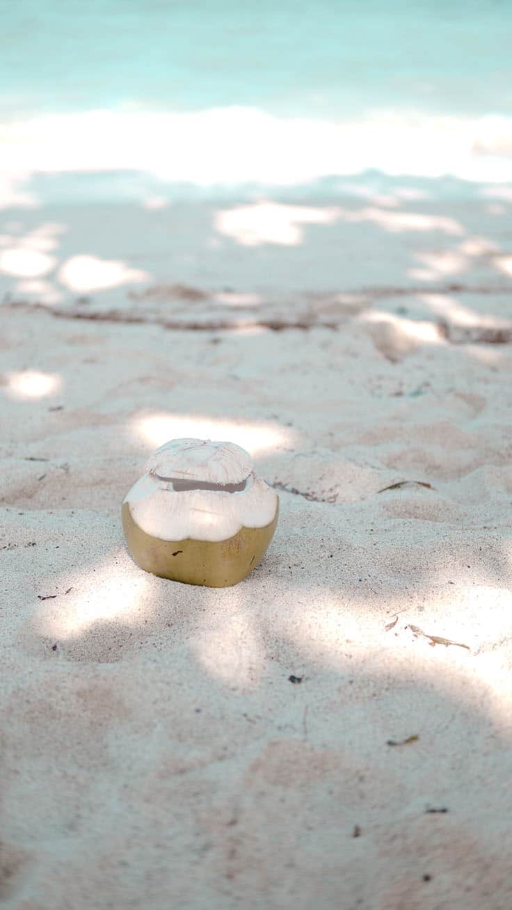 A coconut in the sand on a beach - Beach, coconut, sand, tropical