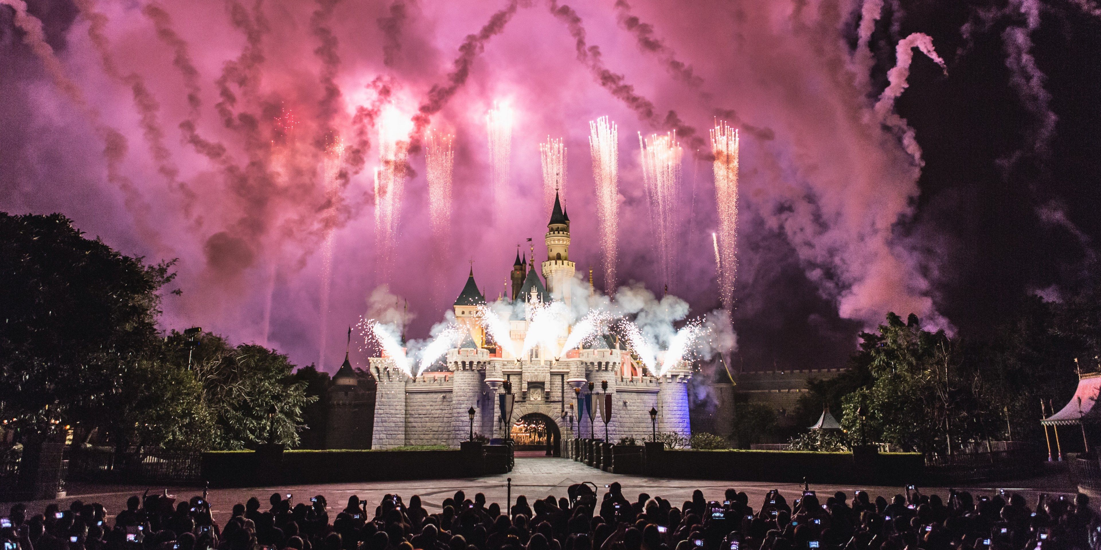 A fireworks show at disneyland castle - Disneyland