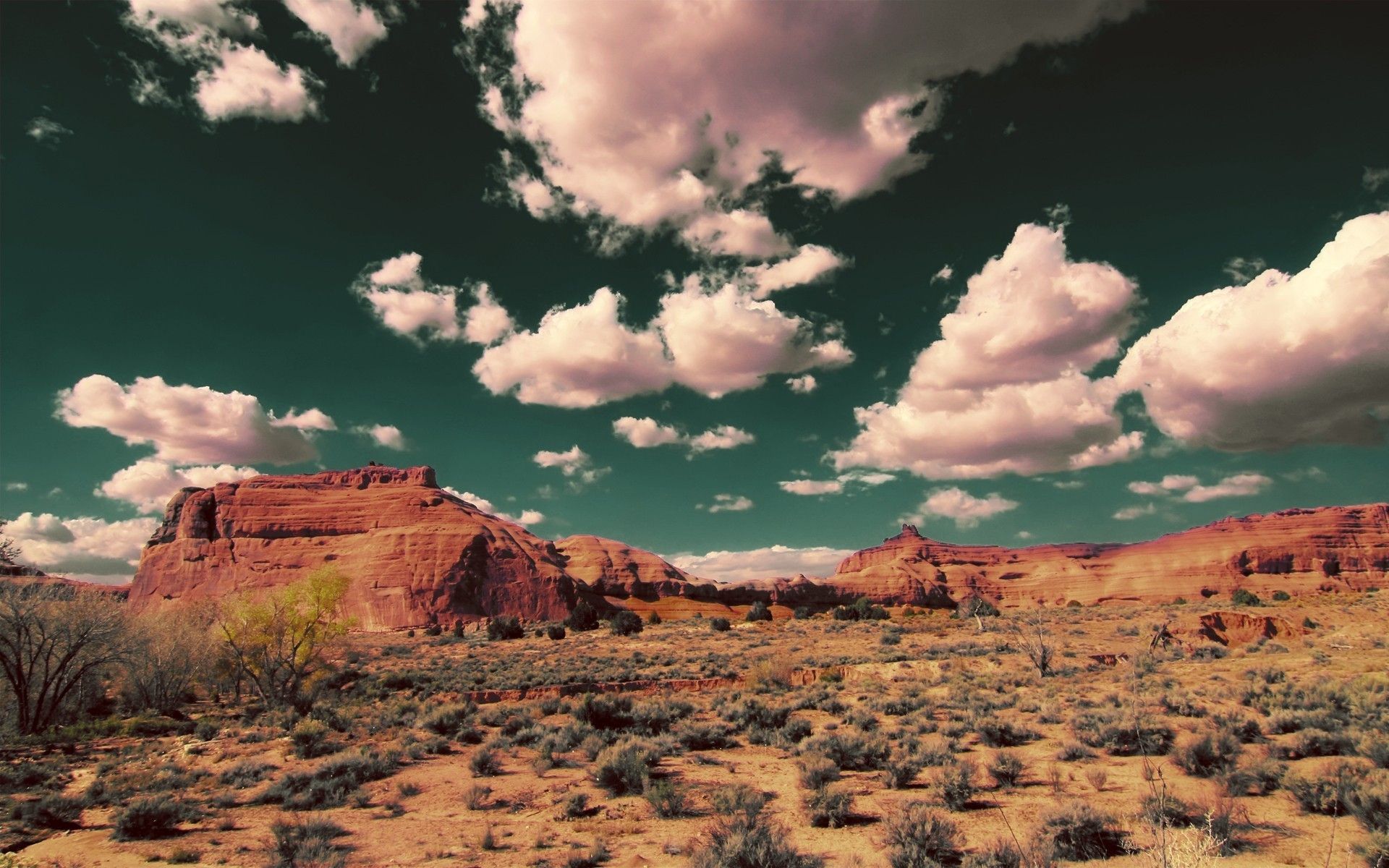 Clouds Rocks Plants & Desert desktop PC and Mac wallpaper