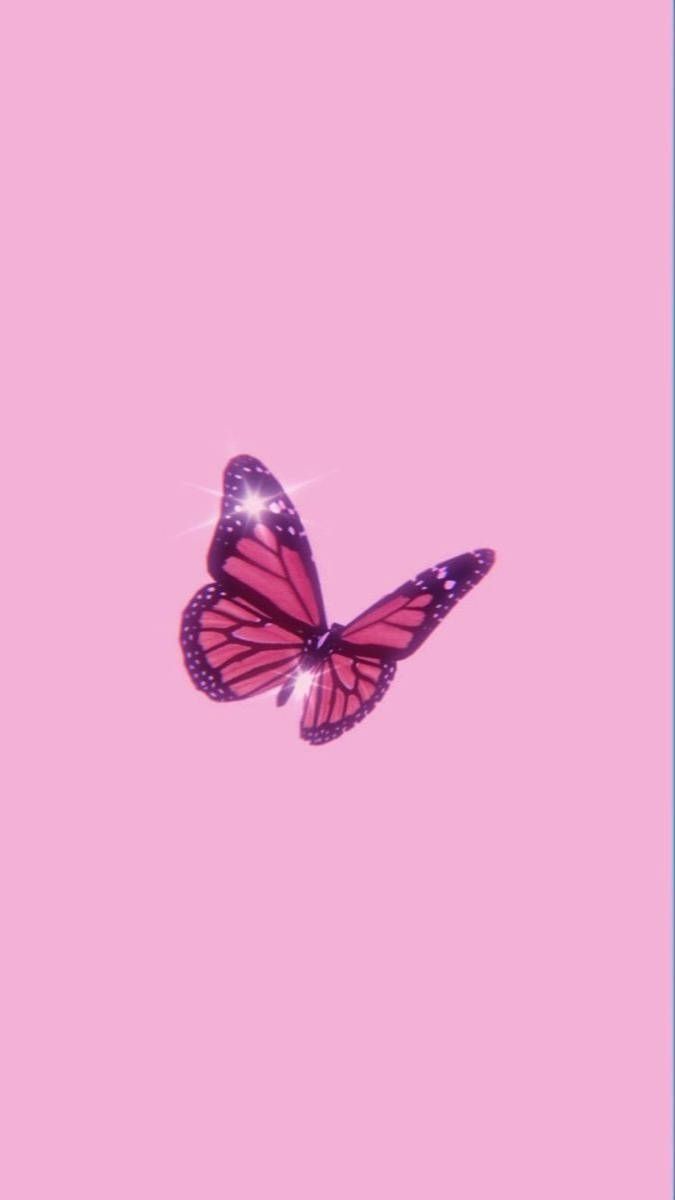 A pink background with an image of butterfly - Texas