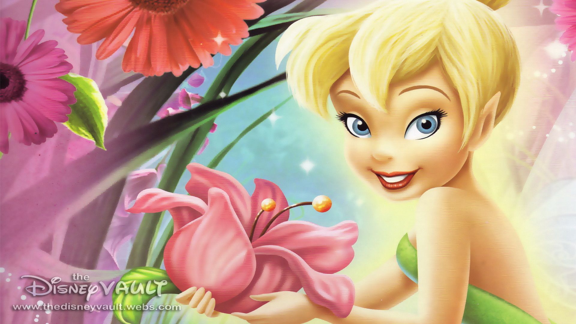 Tinkerbell wallpaper 1920x - Tinkerbell