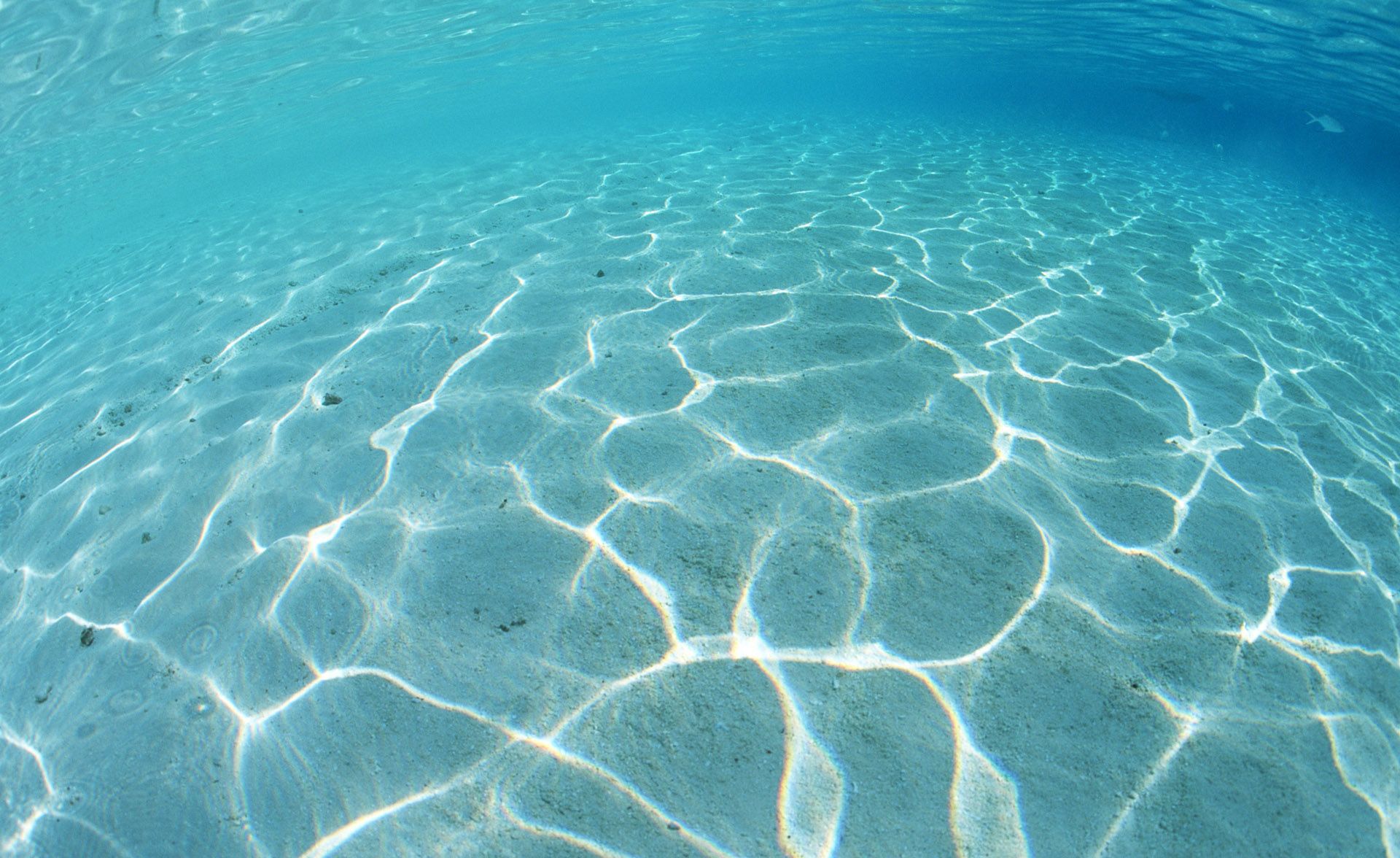 A sandy sea bed with clear blue water - Underwater