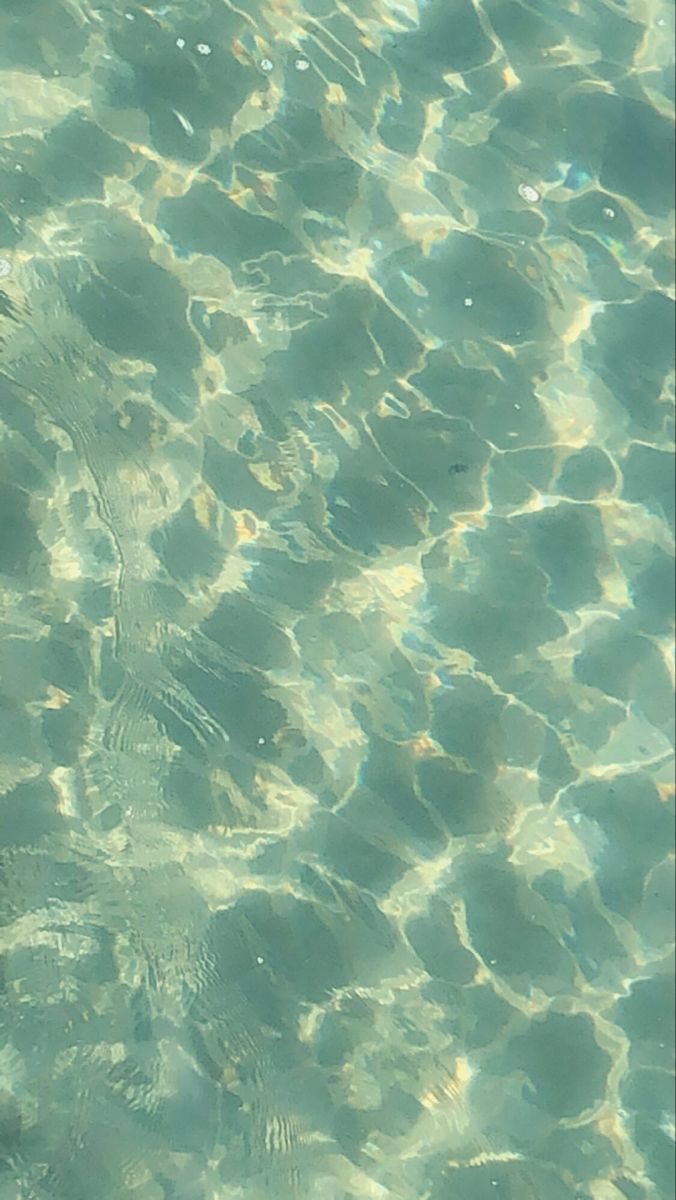 A close up of the water in an aquarium - Underwater