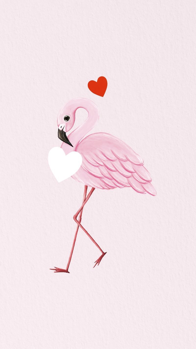 Pink Background Flamingo Image Wallpaper