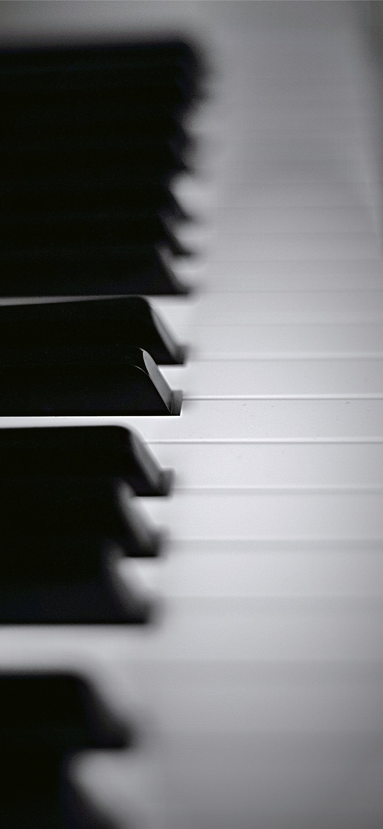 A close up of a piano keyboard in black and white. - Piano