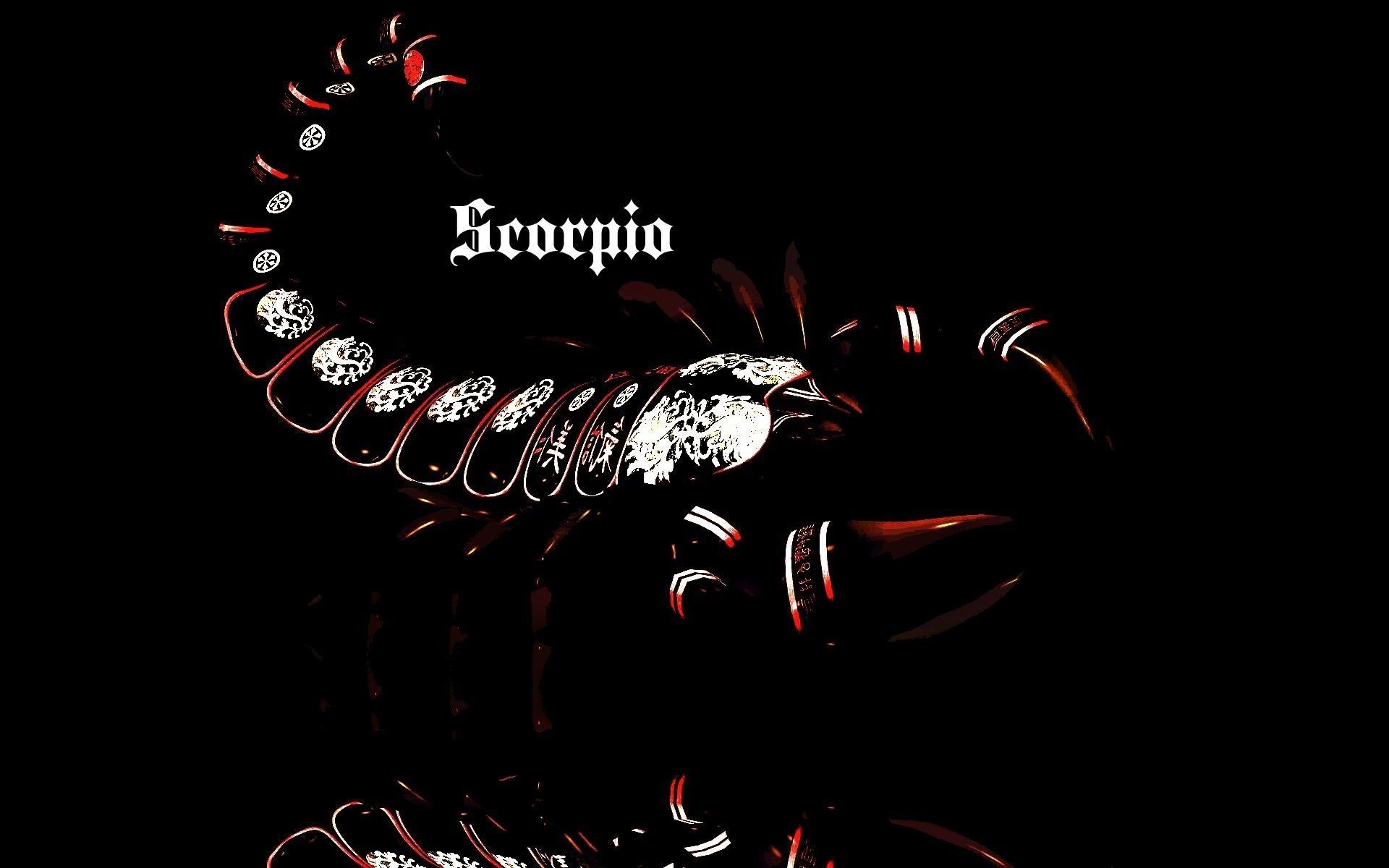 Scorpion wallpaper - 1071111 - Free wallpaper download - Wallpapers13.com - Scorpio