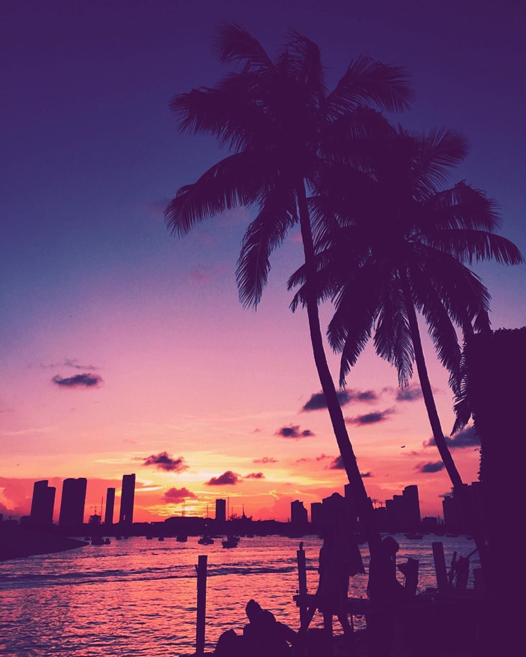 A sunset with palm trees and a city in the background. - Miami