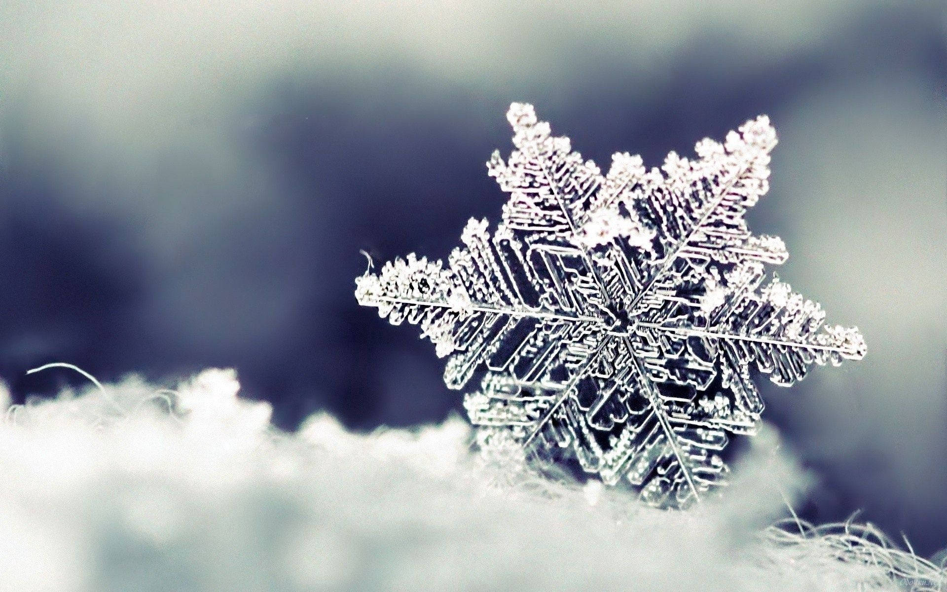 Free Snowflake Wallpaper Downloads, Snowflake Wallpaper for FREE