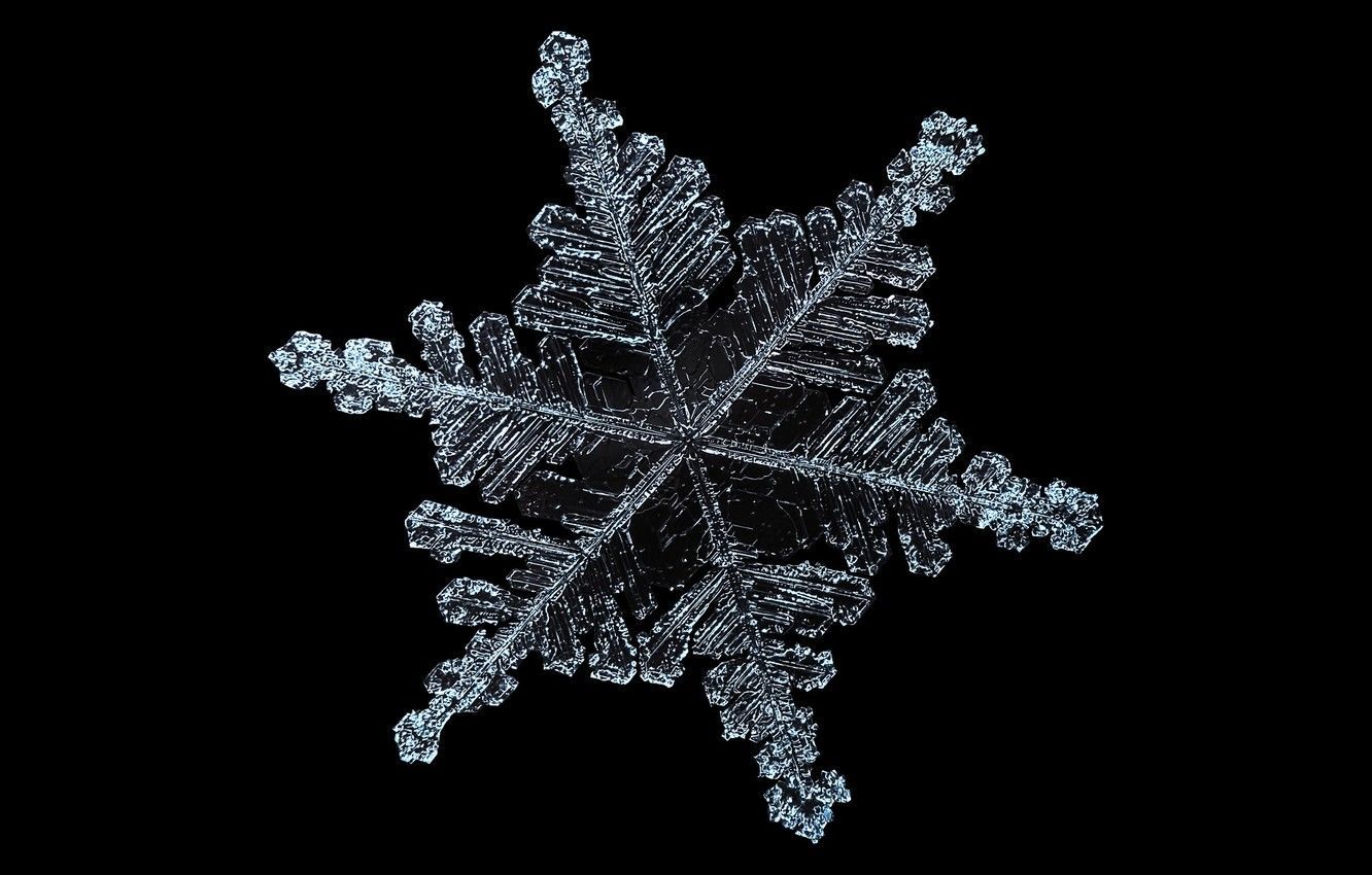 Black Snowflake Wallpaper Free Black Snowflake Background