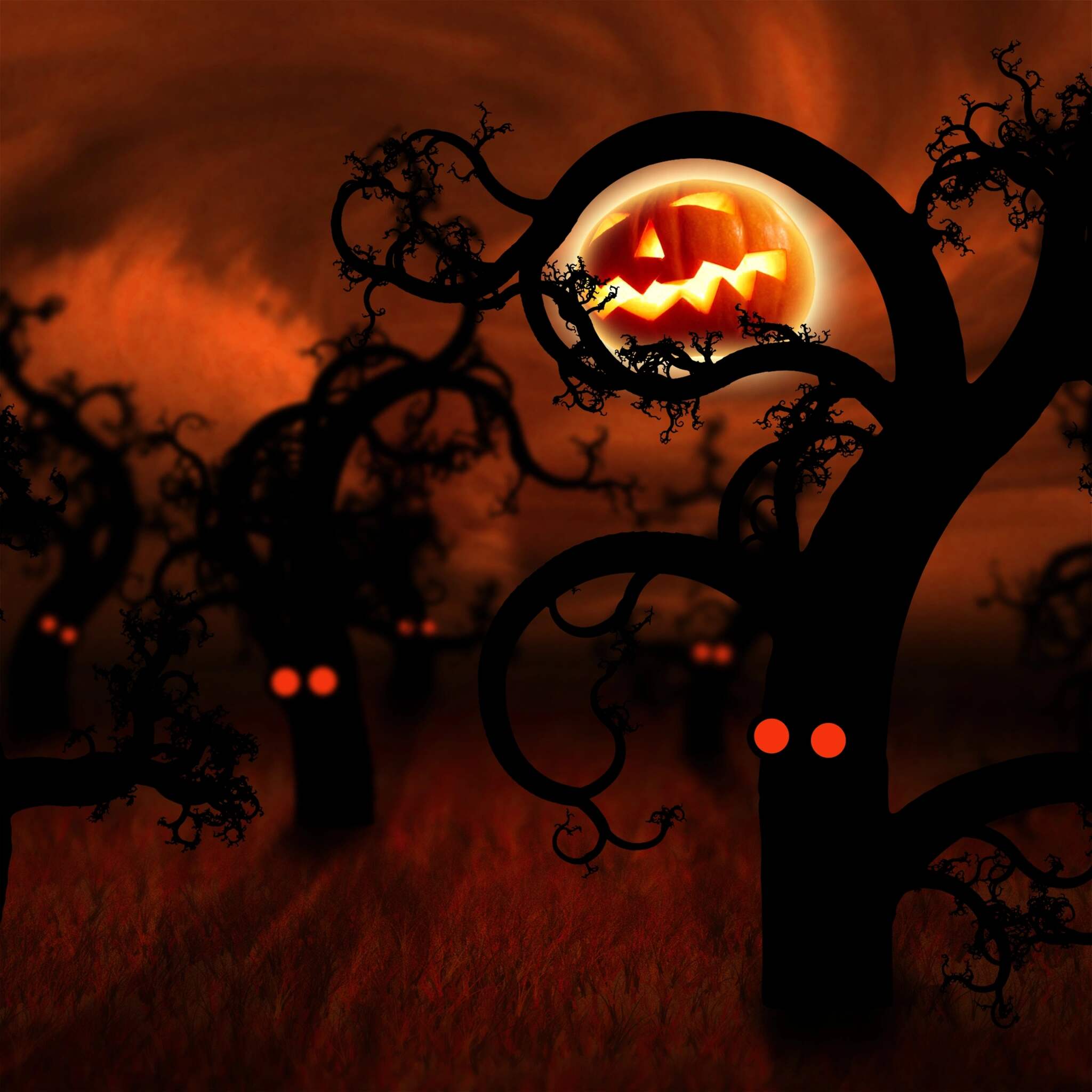 Halloween background with a pumpkin on a tree - Dark orange