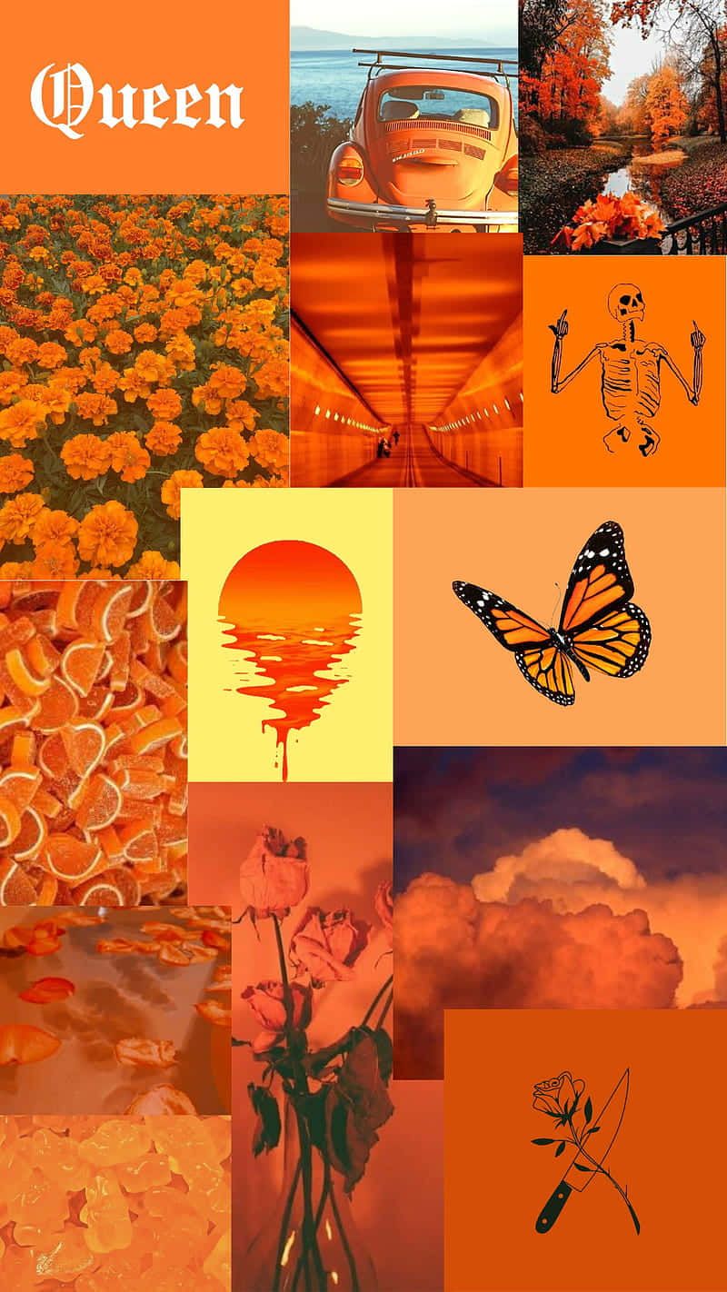Download Orange Aesthetic Phone Wallpaper