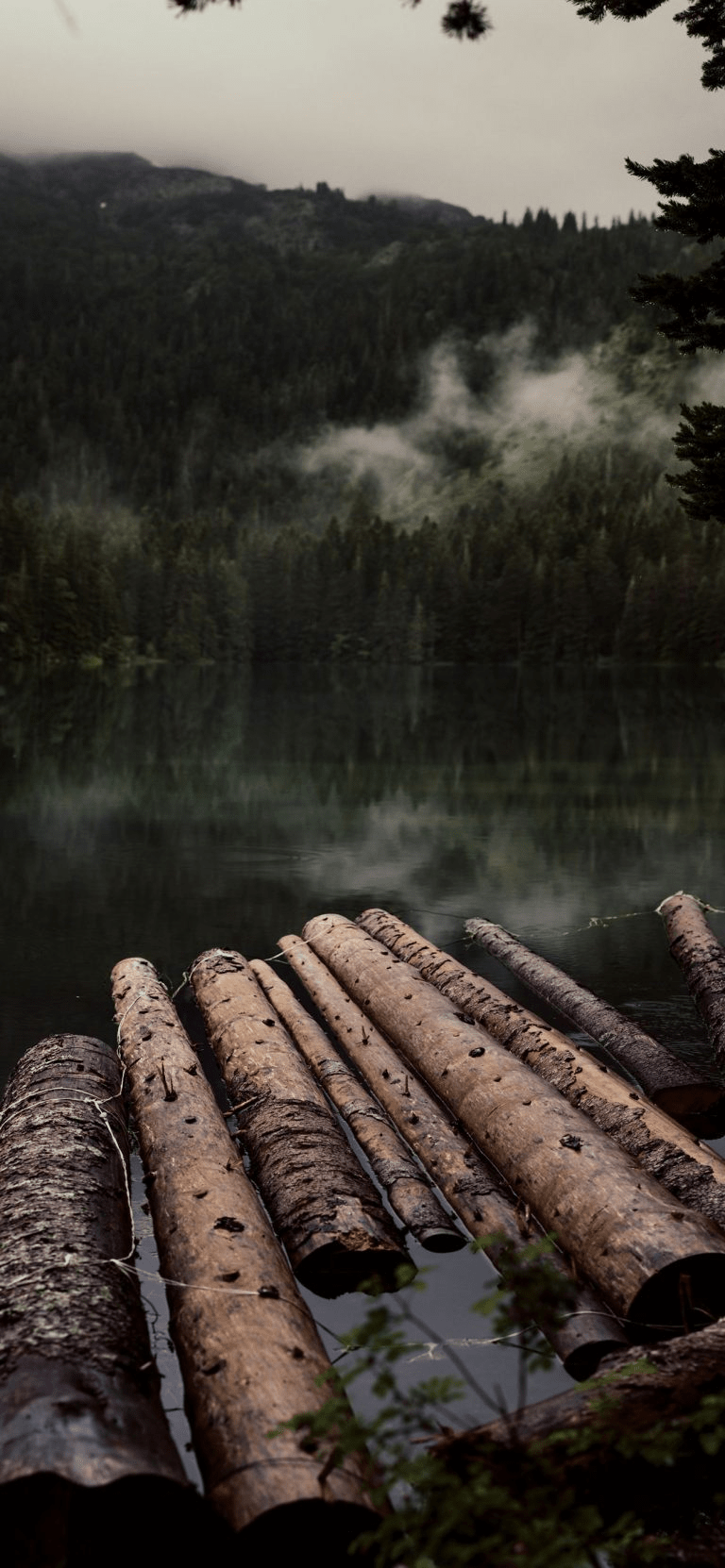 A log sits in the water of a lake. - Calming