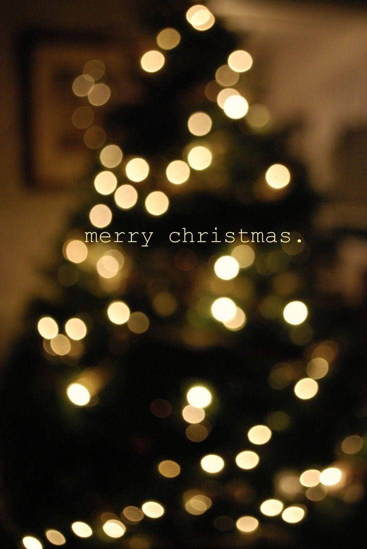 A Christmas tree with the words Merry Christmas. - Christmas, cute Christmas, Christmas lights