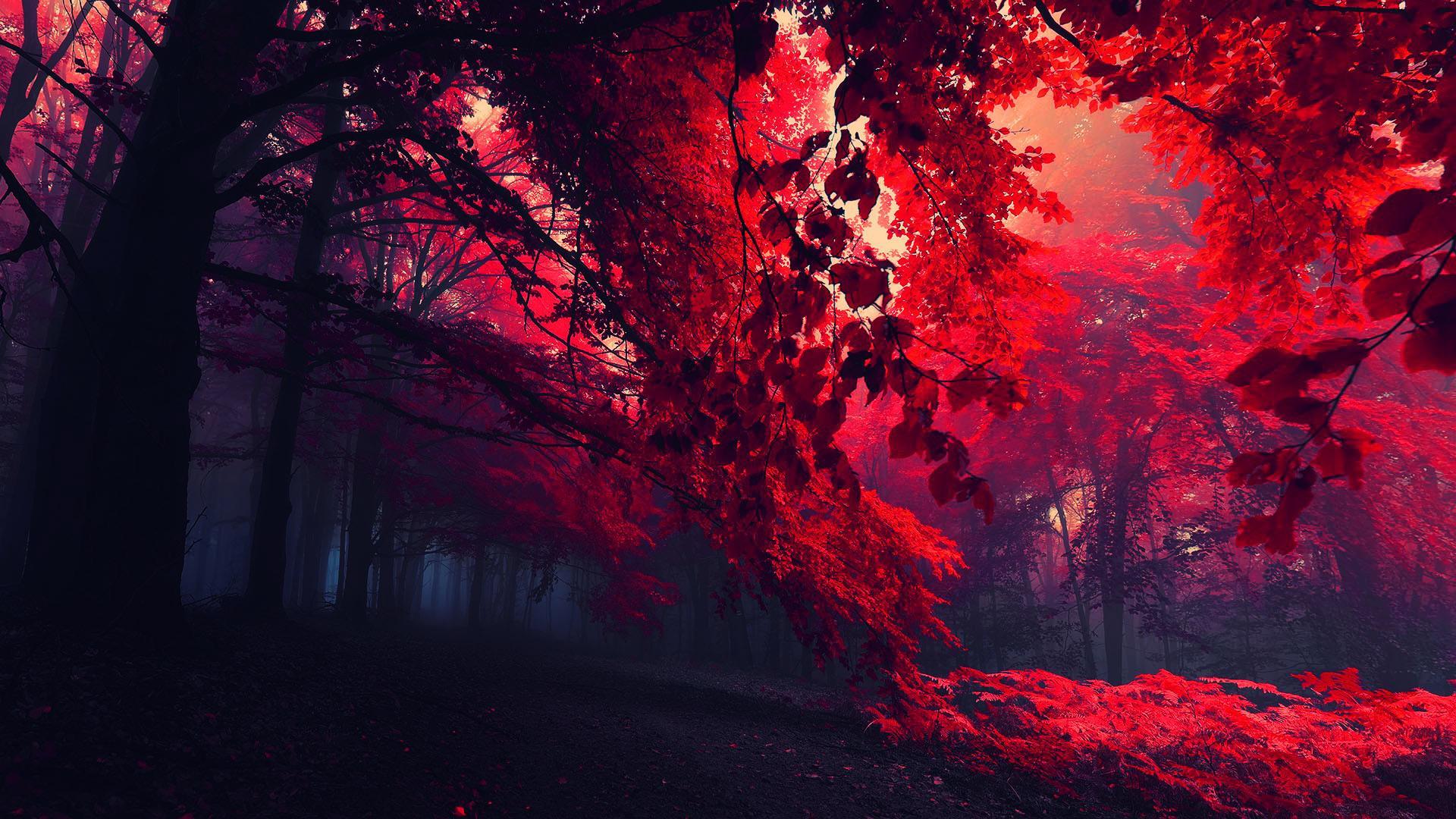 Red Aesthetic (1920x1080)