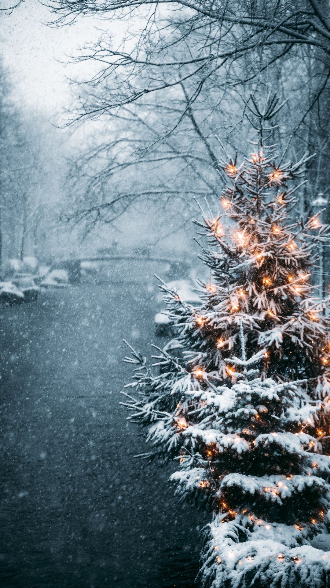 A snowy Christmas tree in the snow. - Winter, snow