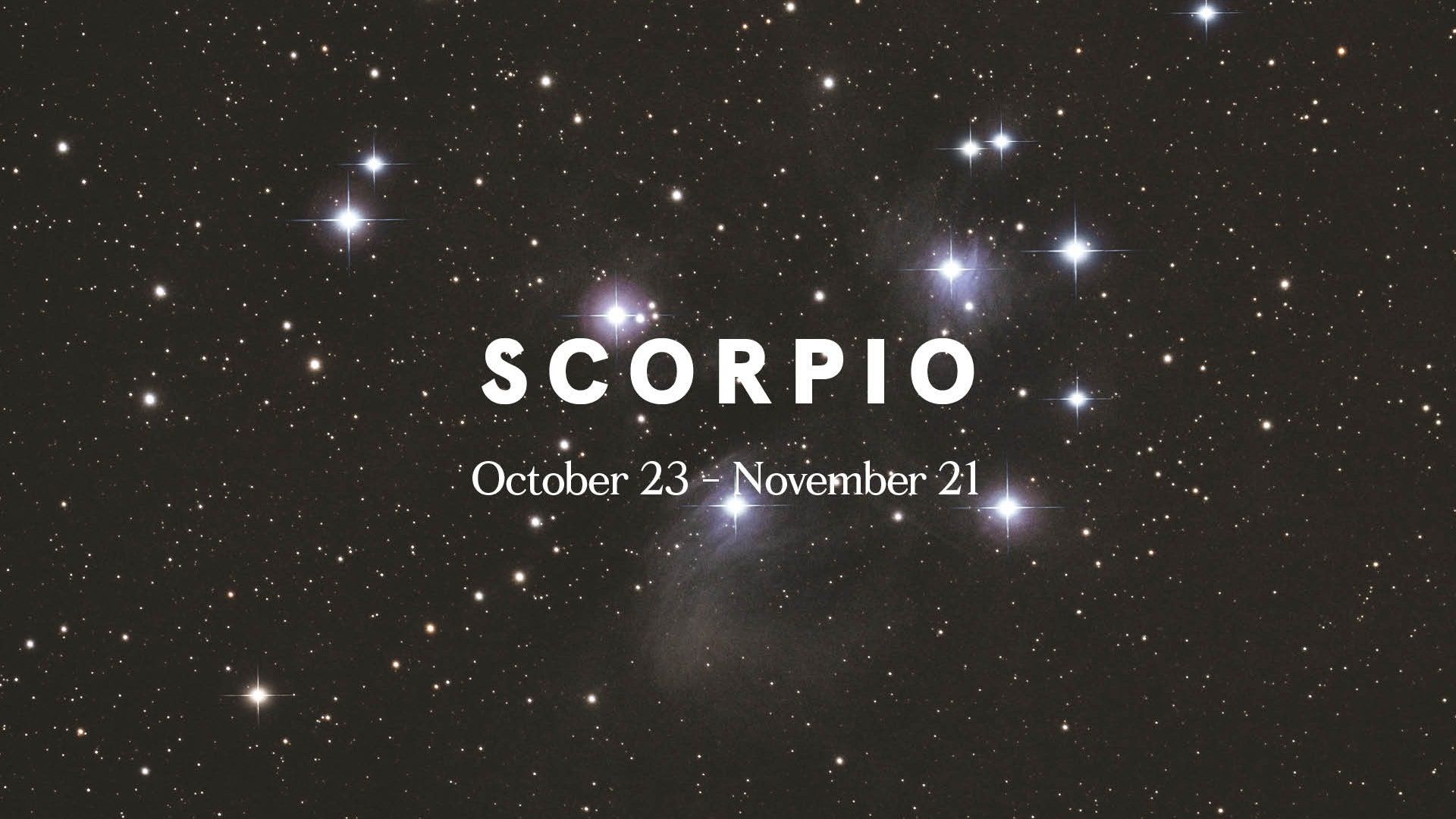 The Scorpio sign in white on a black background with white stars surrounding it. - Scorpio