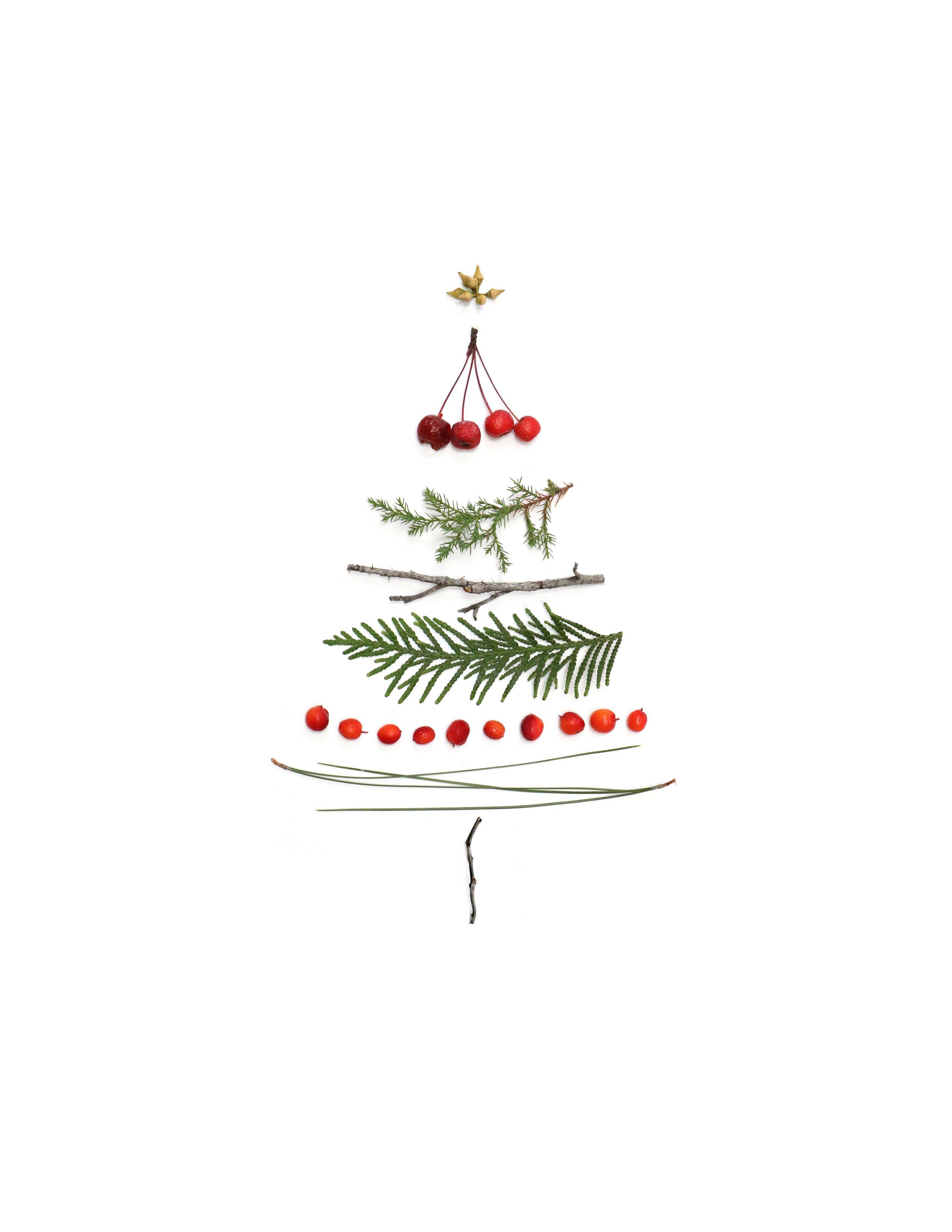 A Christmas tree made out of natural elements - Christmas, cute Christmas, white Christmas
