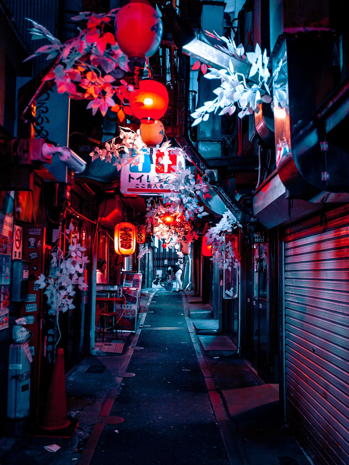 A street in Tokyo at night with red lanterns hanging from the ceiling - Tokyo