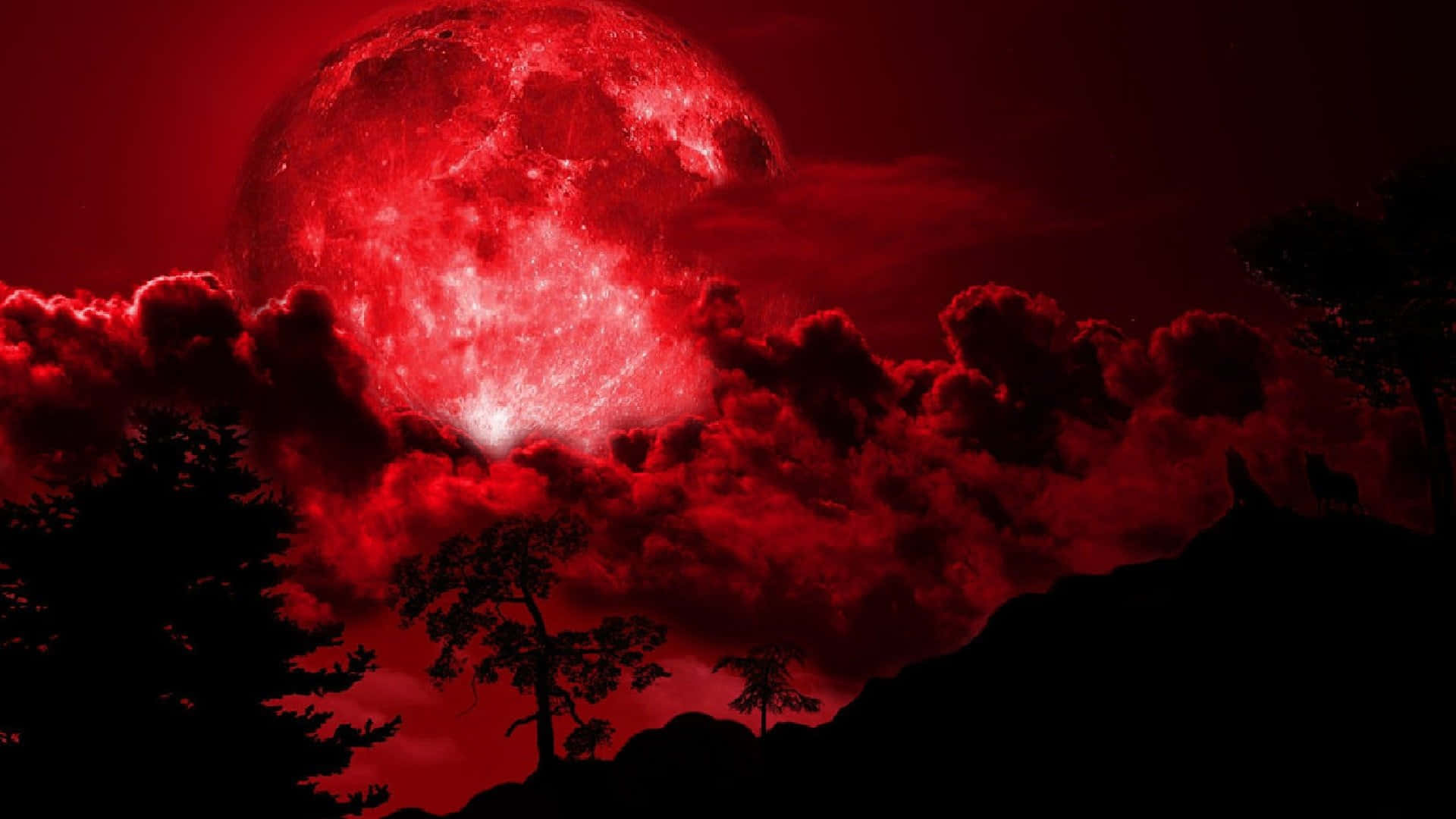 Red full moon wallpaper 2560x1440 download to your desktop - Red, dark red