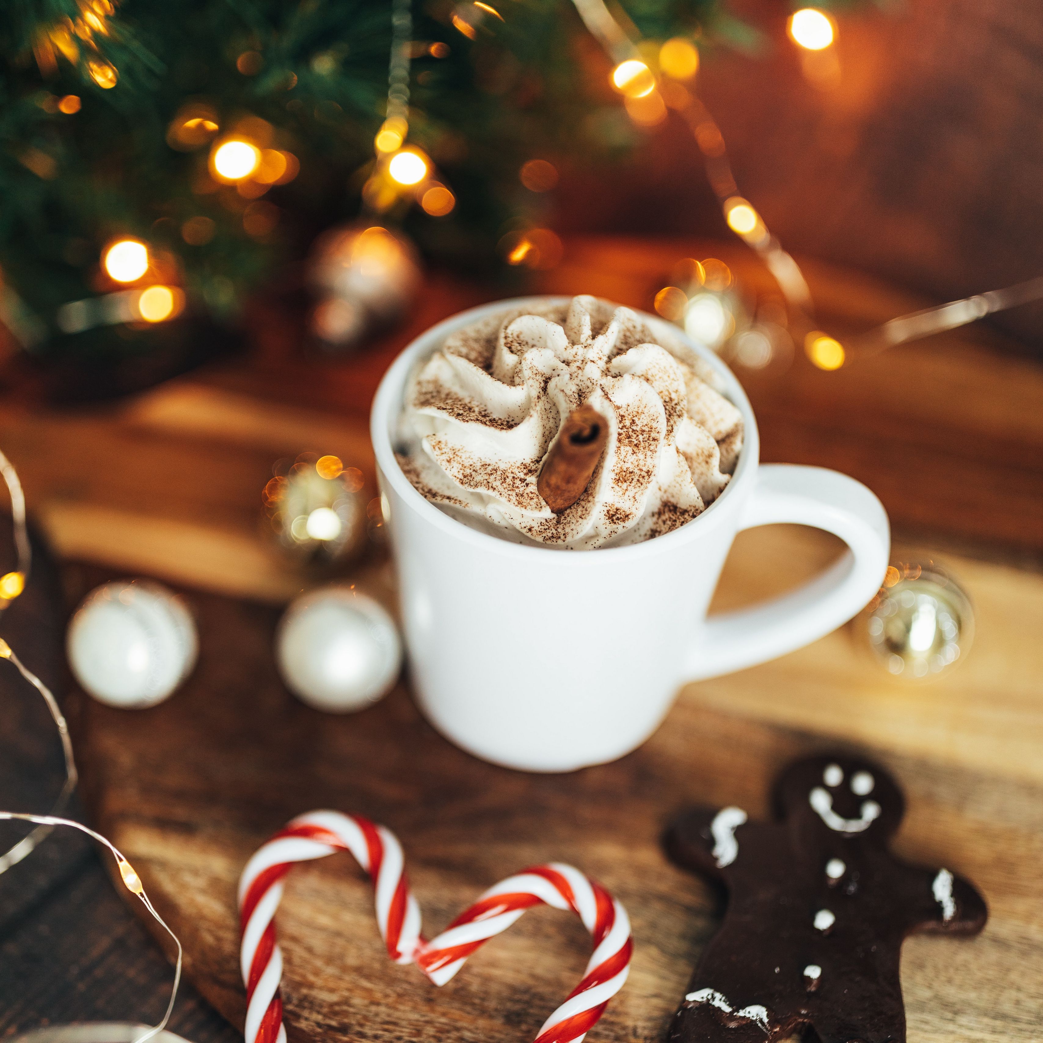 A cup of hot chocolate and cookies on the table - Candy cane