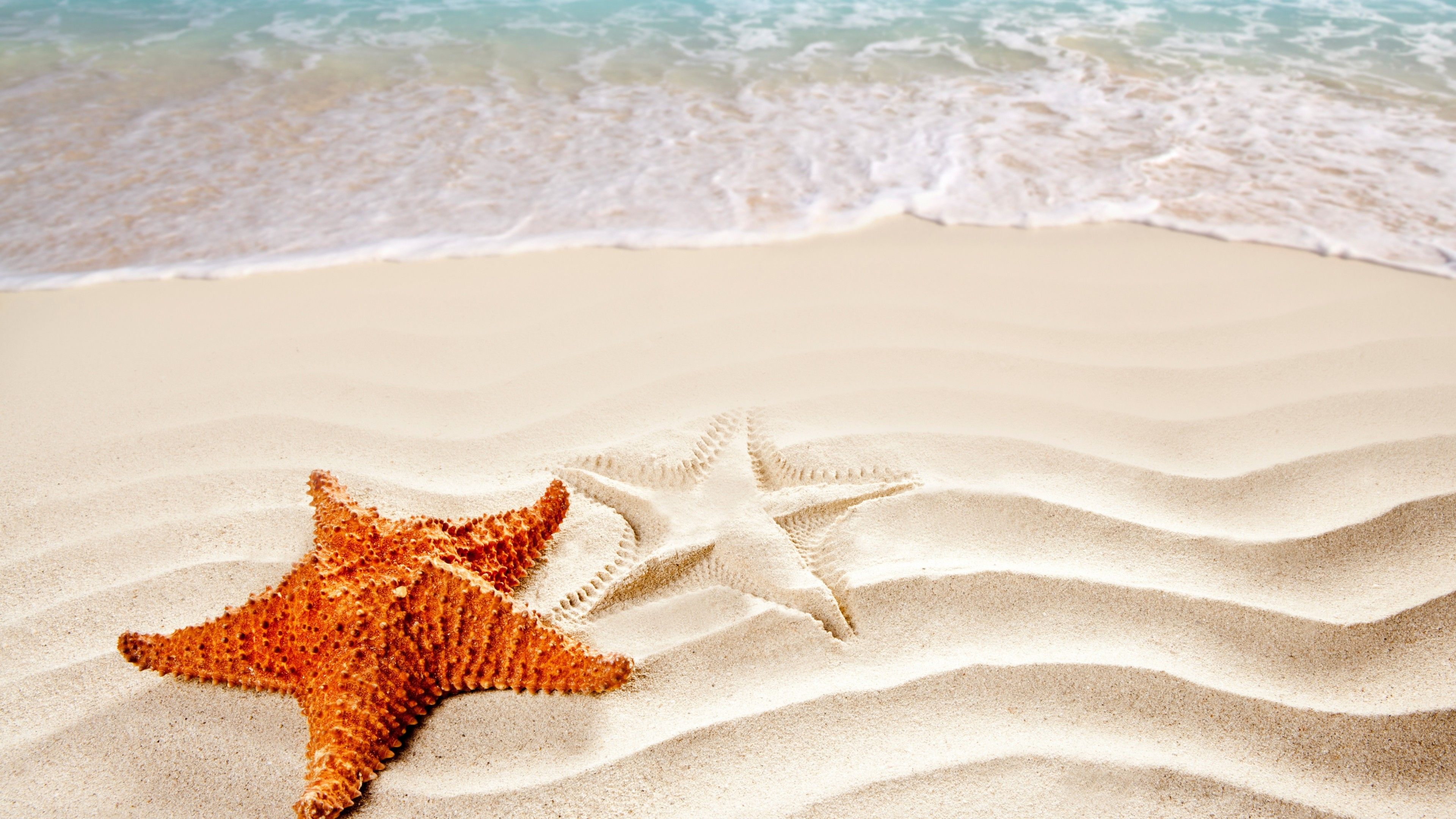 Two starfish on the beach with the ocean in the background - Starfish