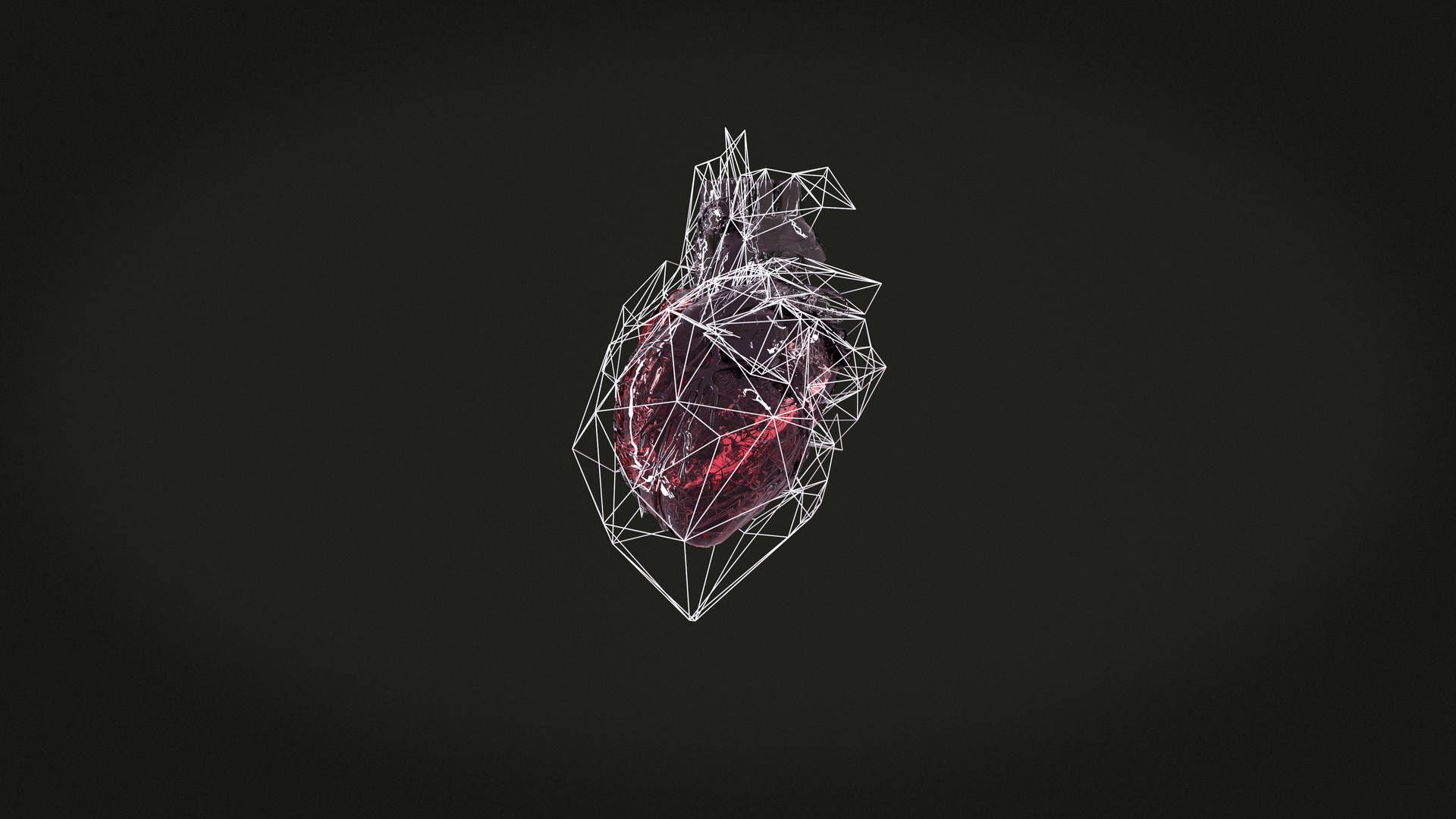 3D illustration of a heart with lines - Anatomy, heart, black heart