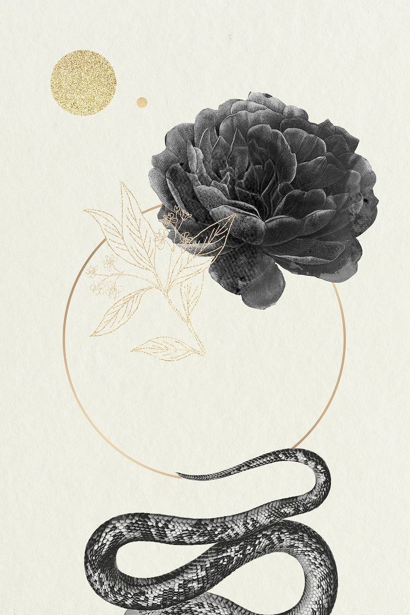 Black snake with a black rose illustration - Snake