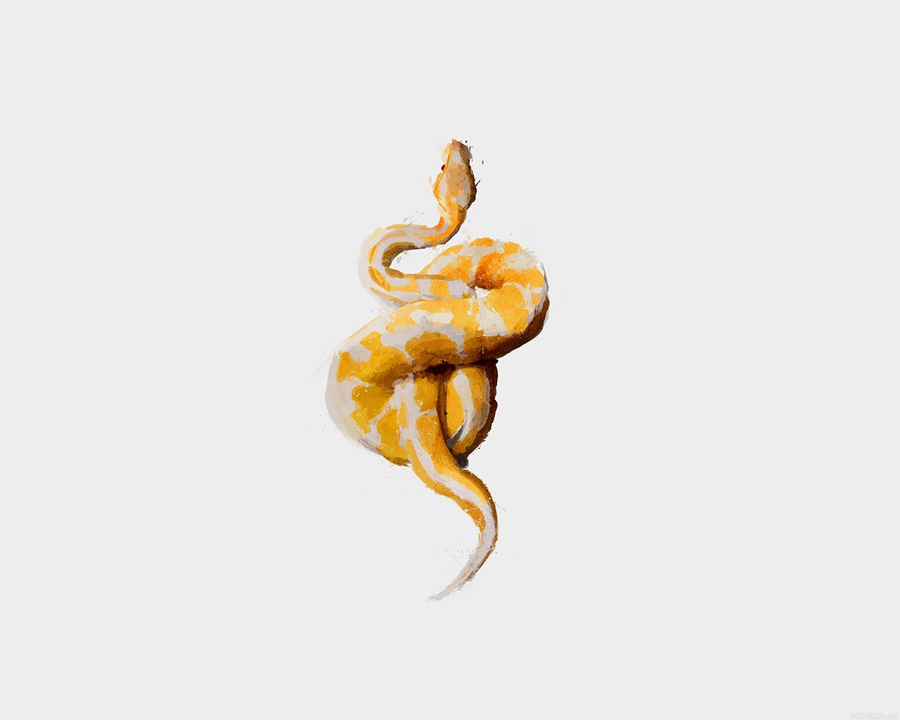 A painting of a yellow snake coiled up - Snake