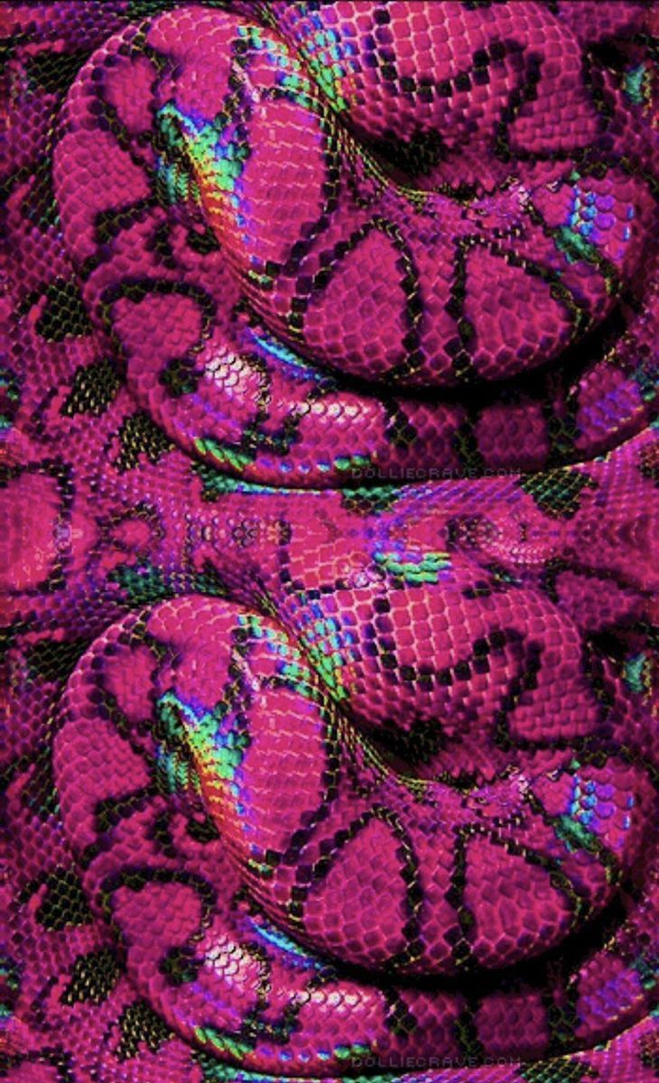 A pink snake with rainbow colors - Snake