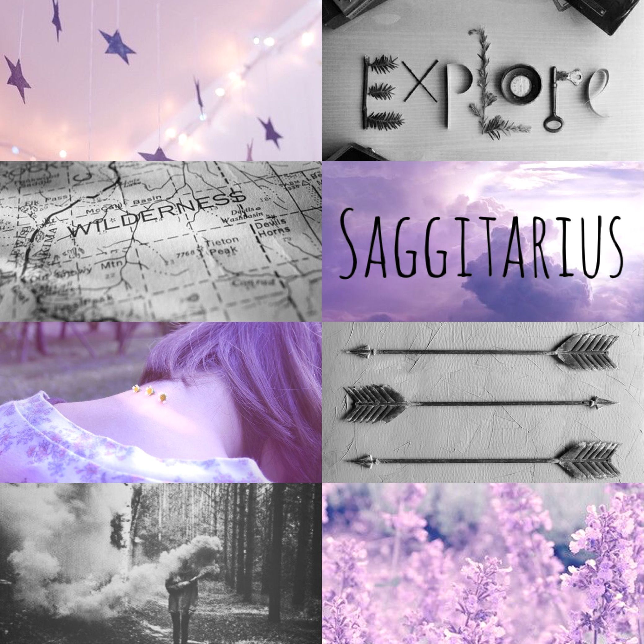 Saggitarius. Zodiac sagittarius facts, Zodiac signs sagittarius, Saggitarius