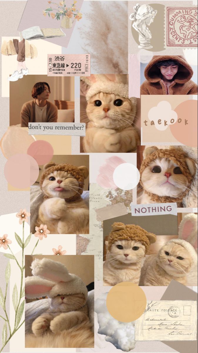 A collage of pictures including cats, people, and flowers. - Cat