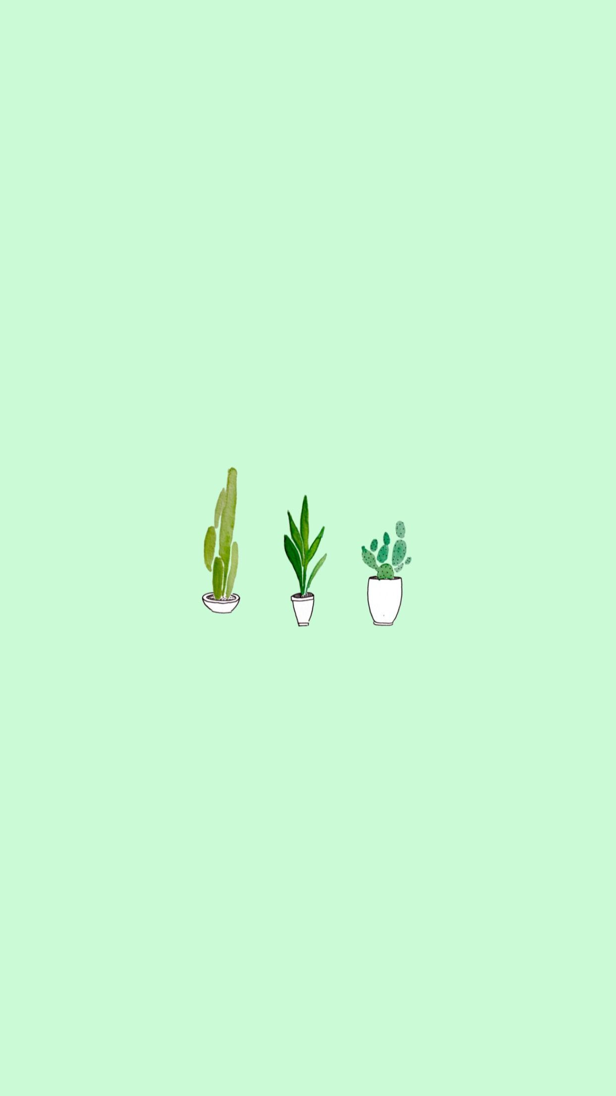 A cactus, succulent and plant on green background - Lime green, light green, green, soft green, pastel green, plants
