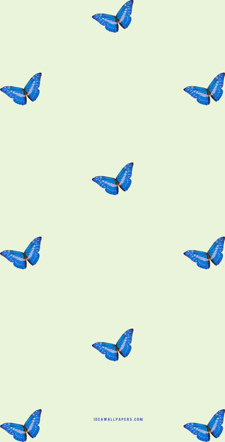Aesthetic butterfly wallpaper for phone background. - Lime green, butterfly